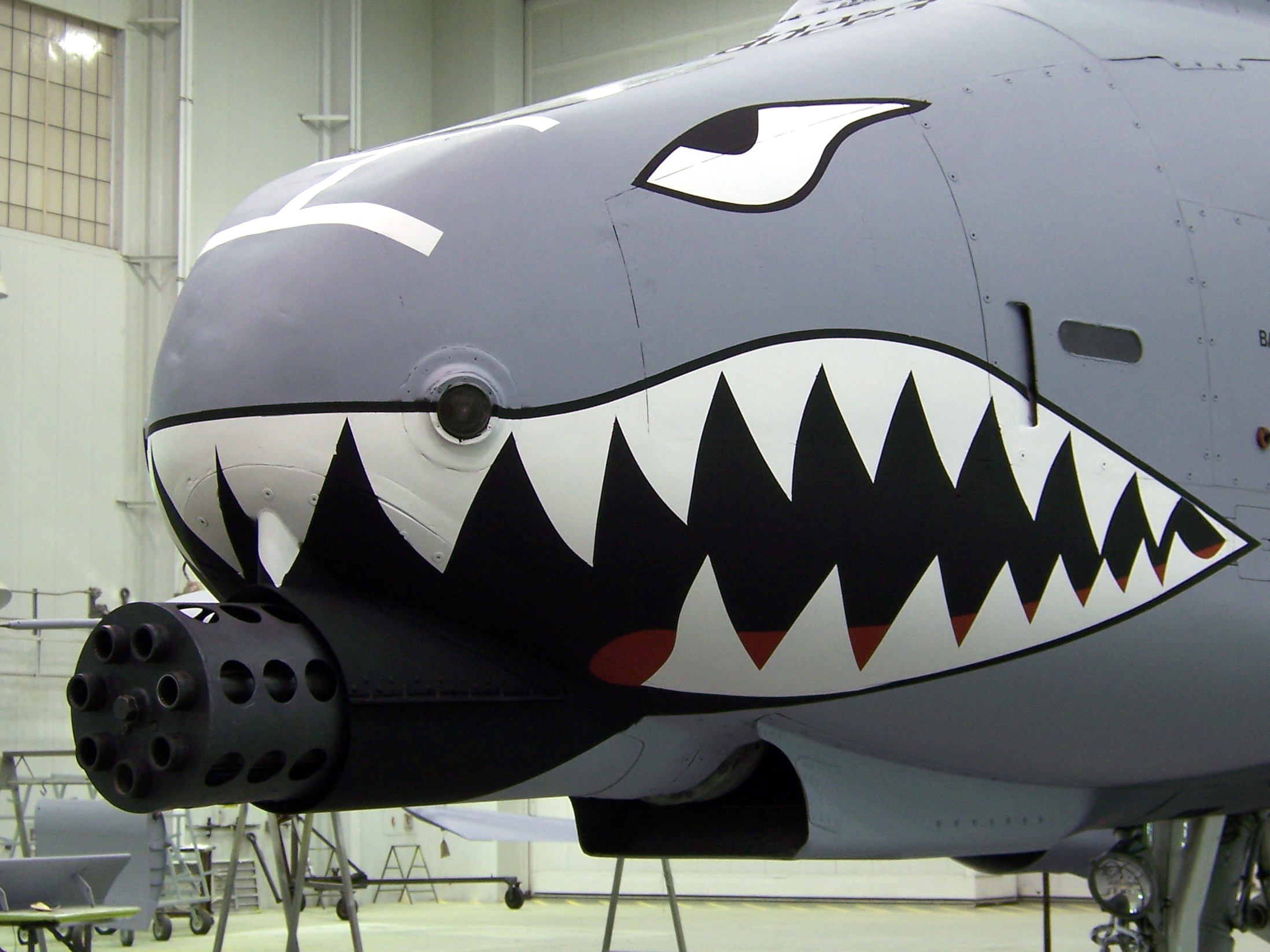 A-10 Thunderbolt II with shark mouth nose art painted on the nose