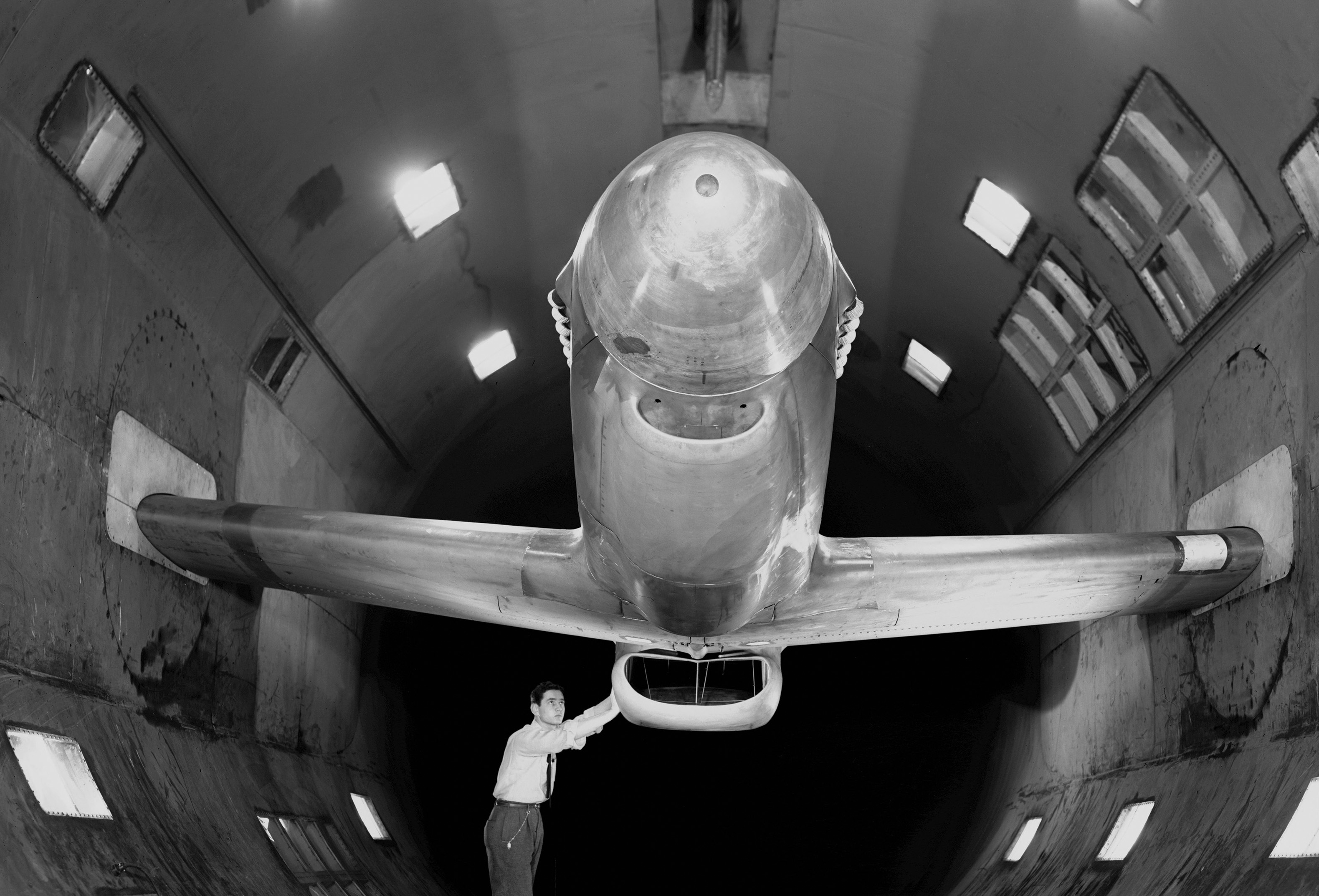 ARC-1943 AAL-3781
