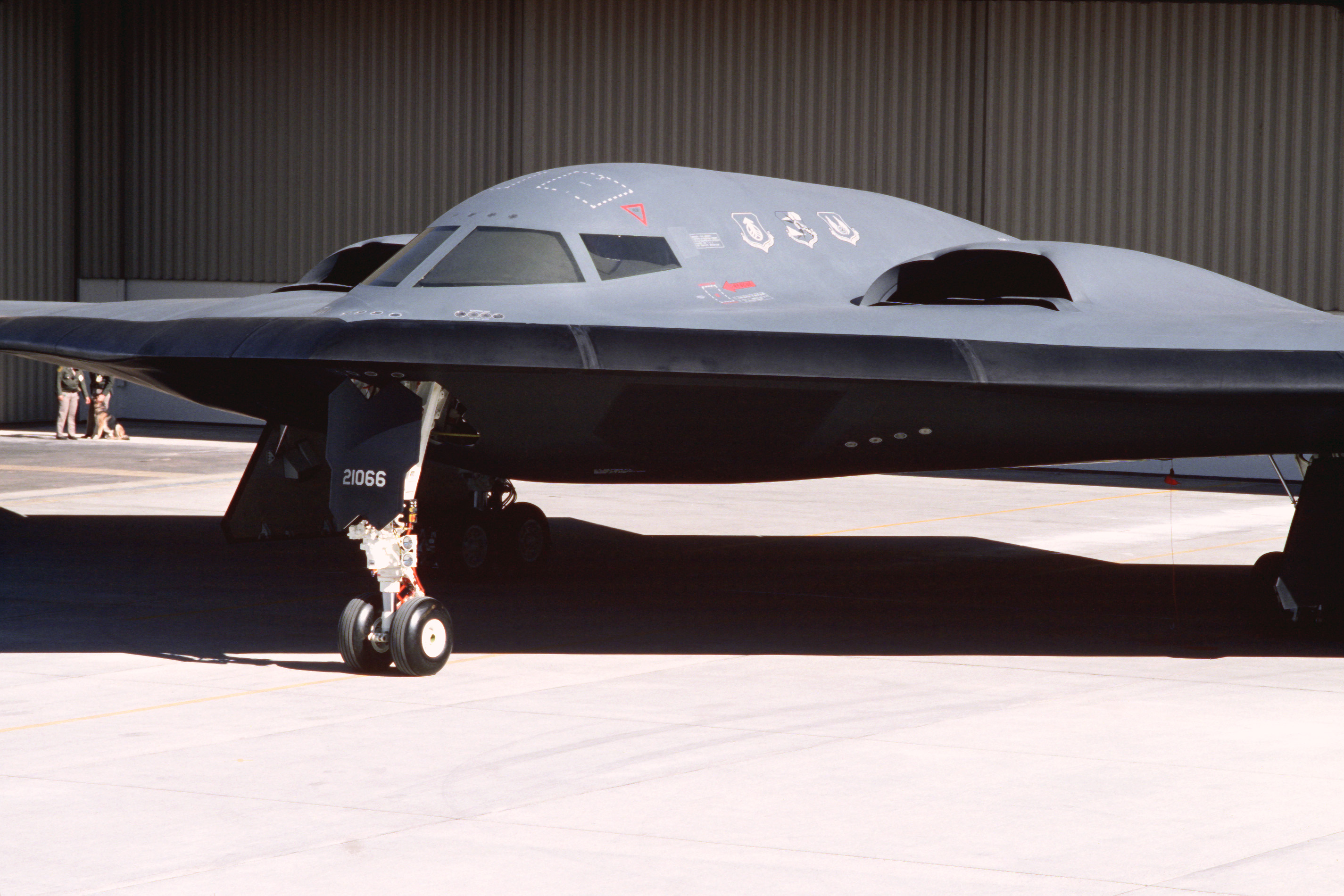 Primo piano laterale del bombardiere B-2 a tecnologia avanzata appena presentato sulla linea di volo davanti all'Air Force Plant 42 durante la cerimonia di presentazione - DPLA - 023502e03bd017b1a5fe58048a02 adb0
