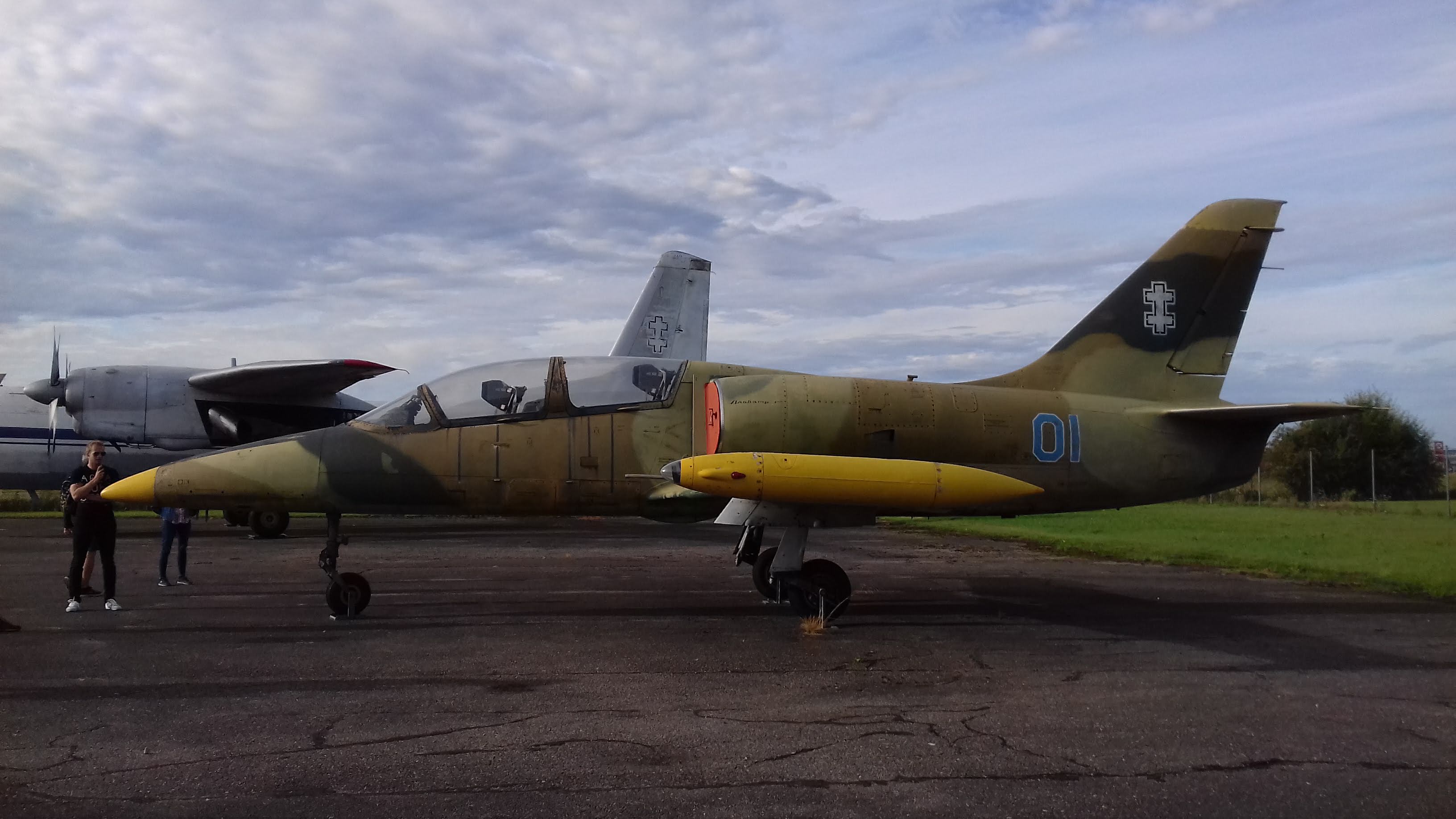 Aero L-39C Albatros ВВС Литвы