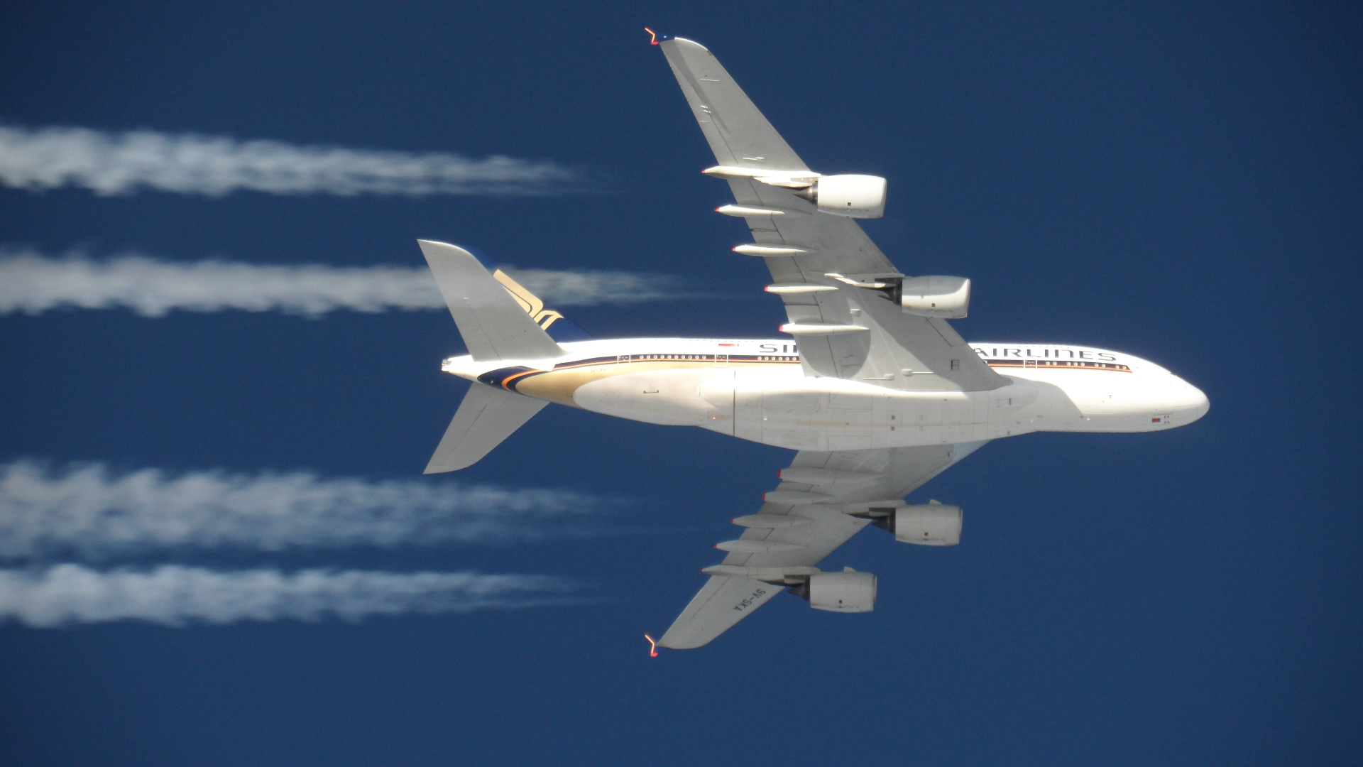 How high are contrails?