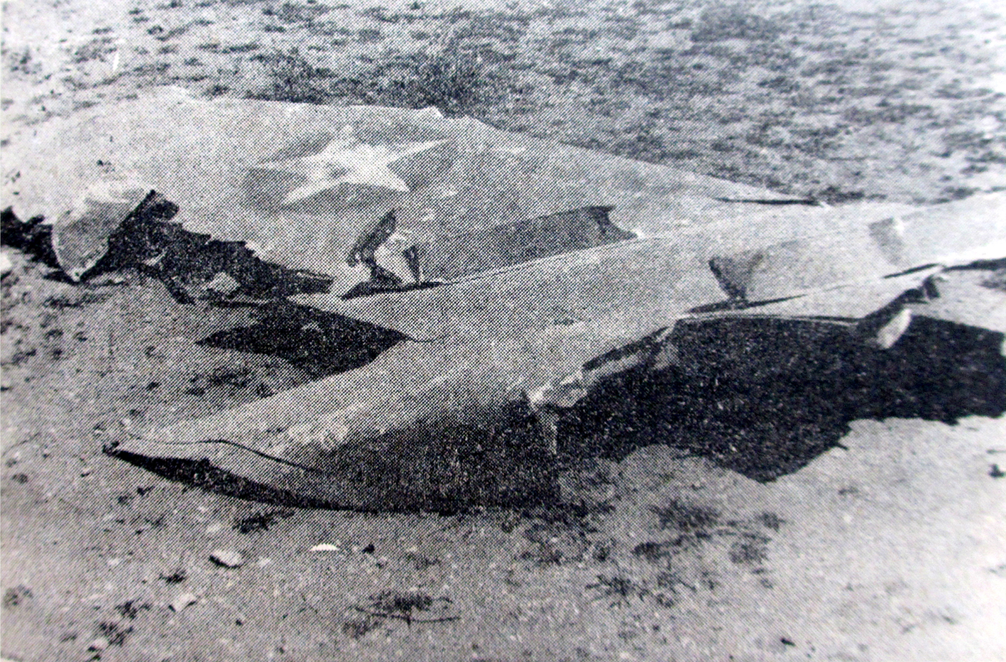 Wing of a Somali MiG-21 shot down by Ethiopia