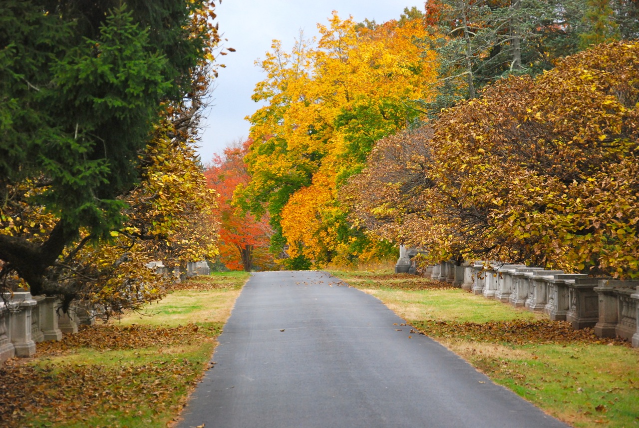 Fogliame autunnale a Duke Farms, Hillsborough, New Jersey 15