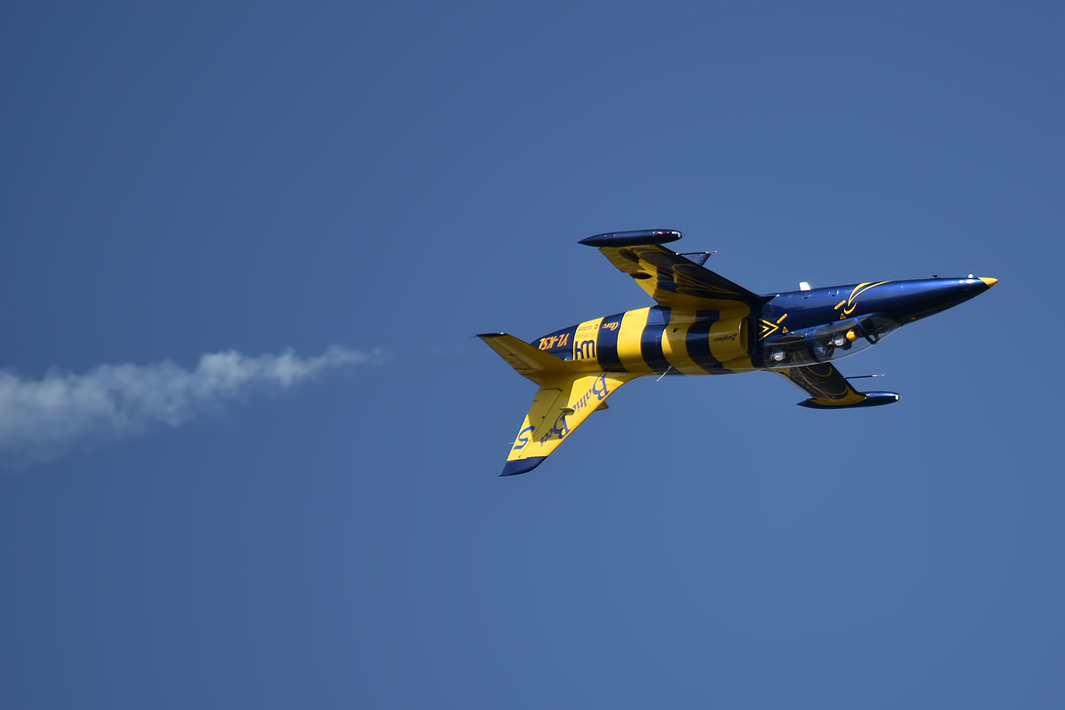 Baltic Bees, Aero L-39 Albatros