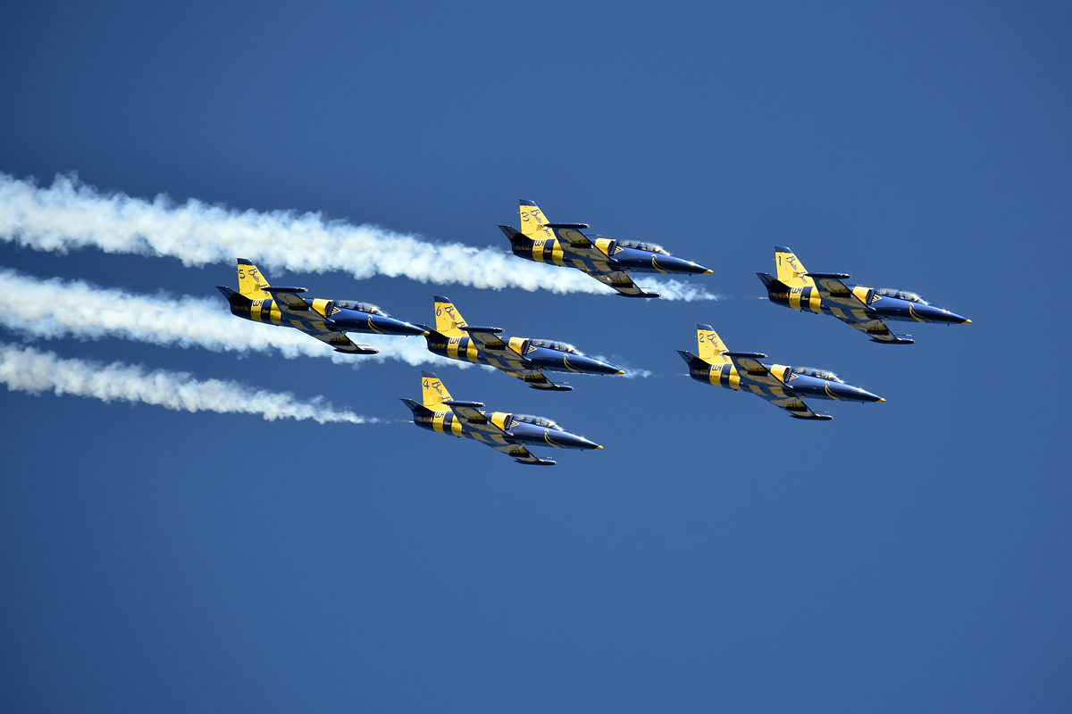 Baltic Bees, Aero L-39 Albatros