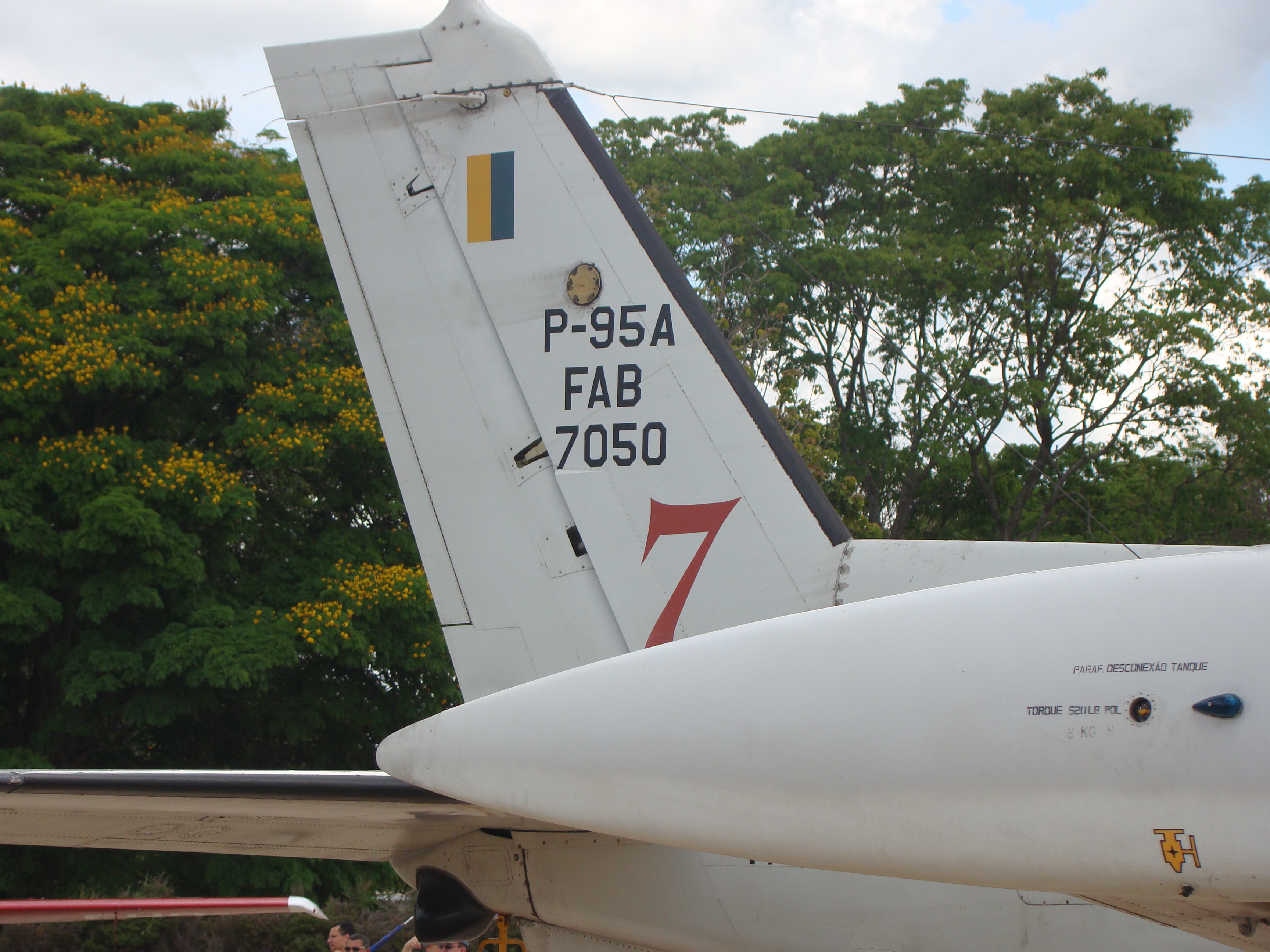 Bandeirulha (P-95)
