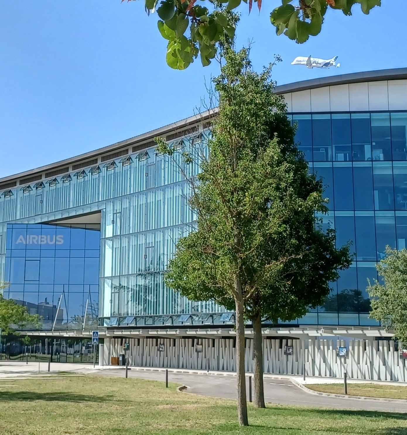 Beluga takes off above Airbus' Headquarters