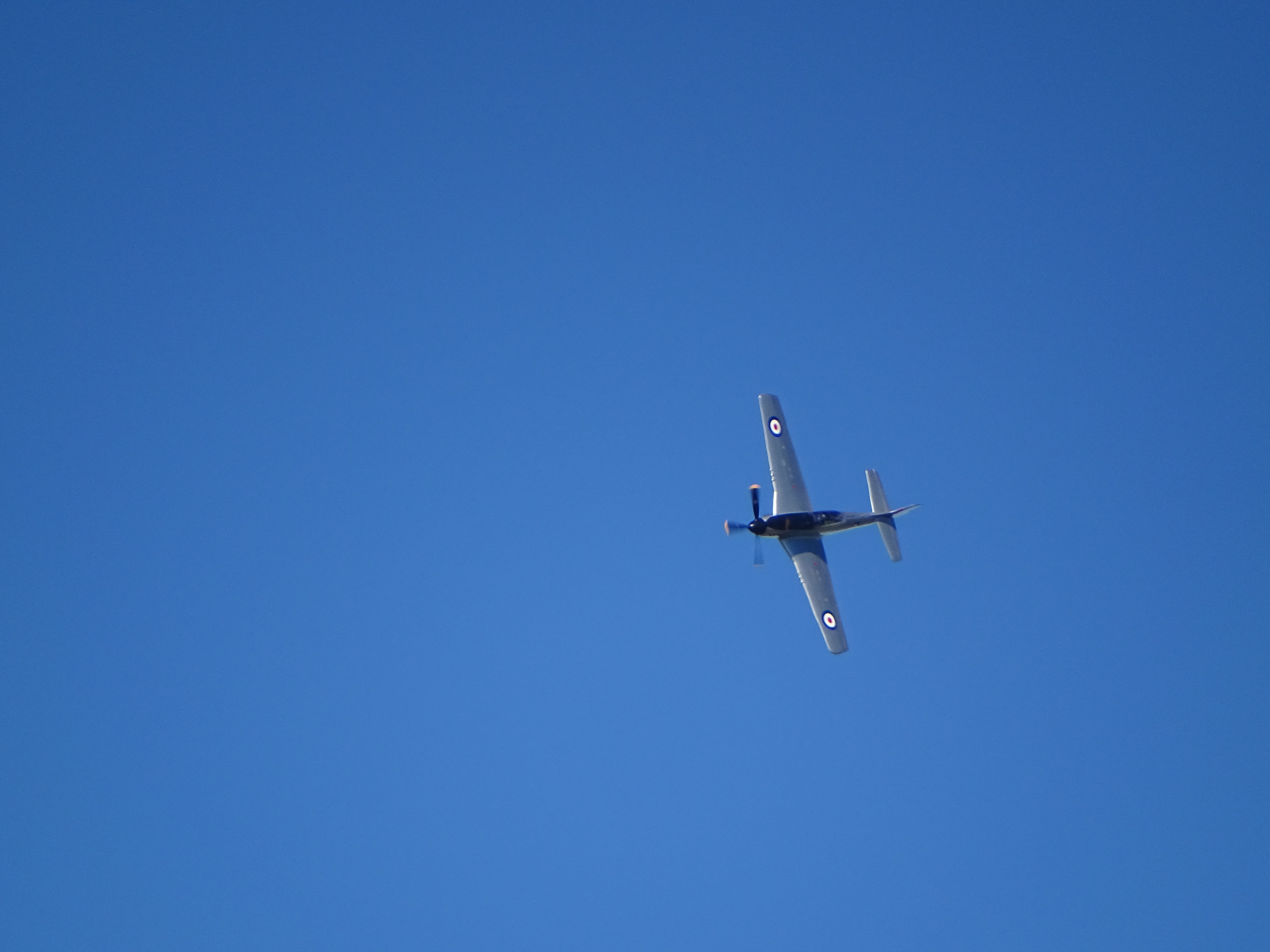 CAC CA18 Mustang
