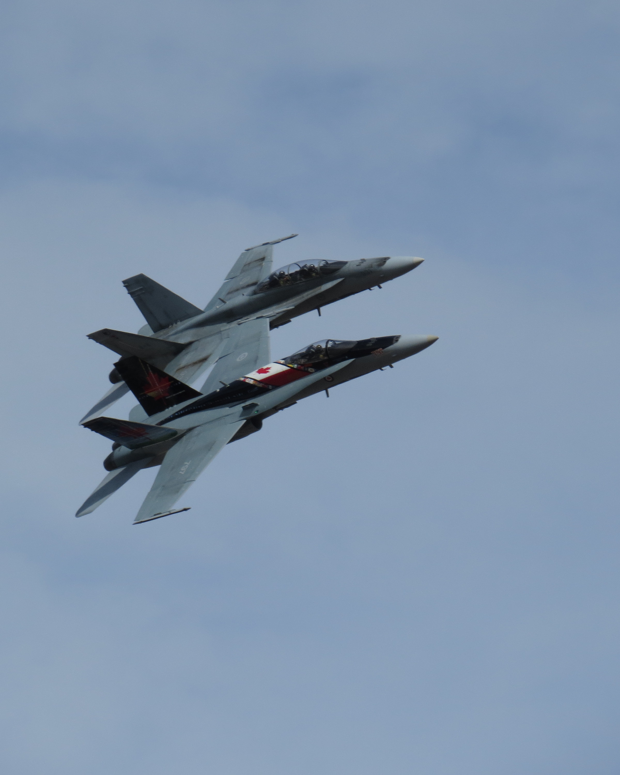 McDonnell Douglas F/A-18 Hornet