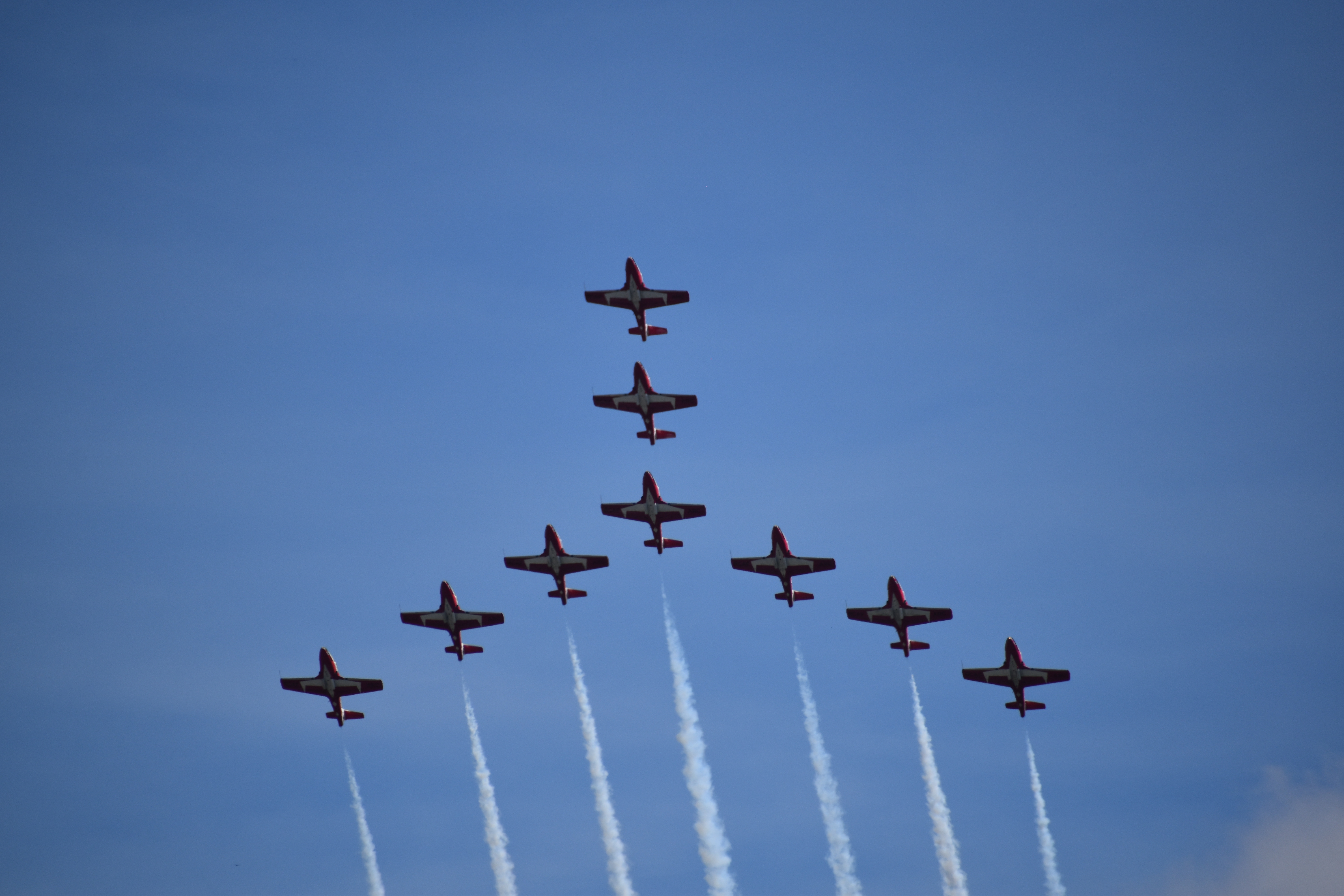 Canadian Snowbirds, Wings Over Houston, 2021