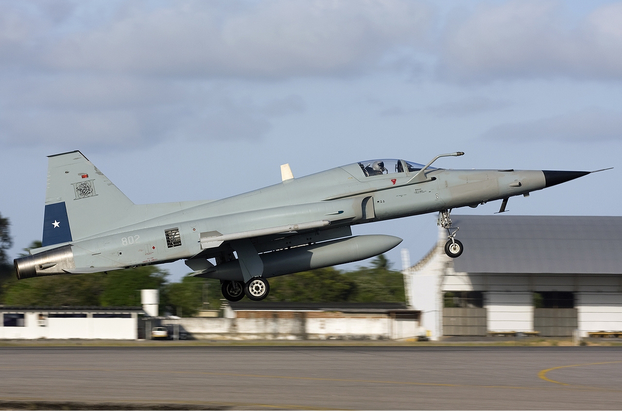 Chilean Air Force F-5E Tigre III (Lofting 4)