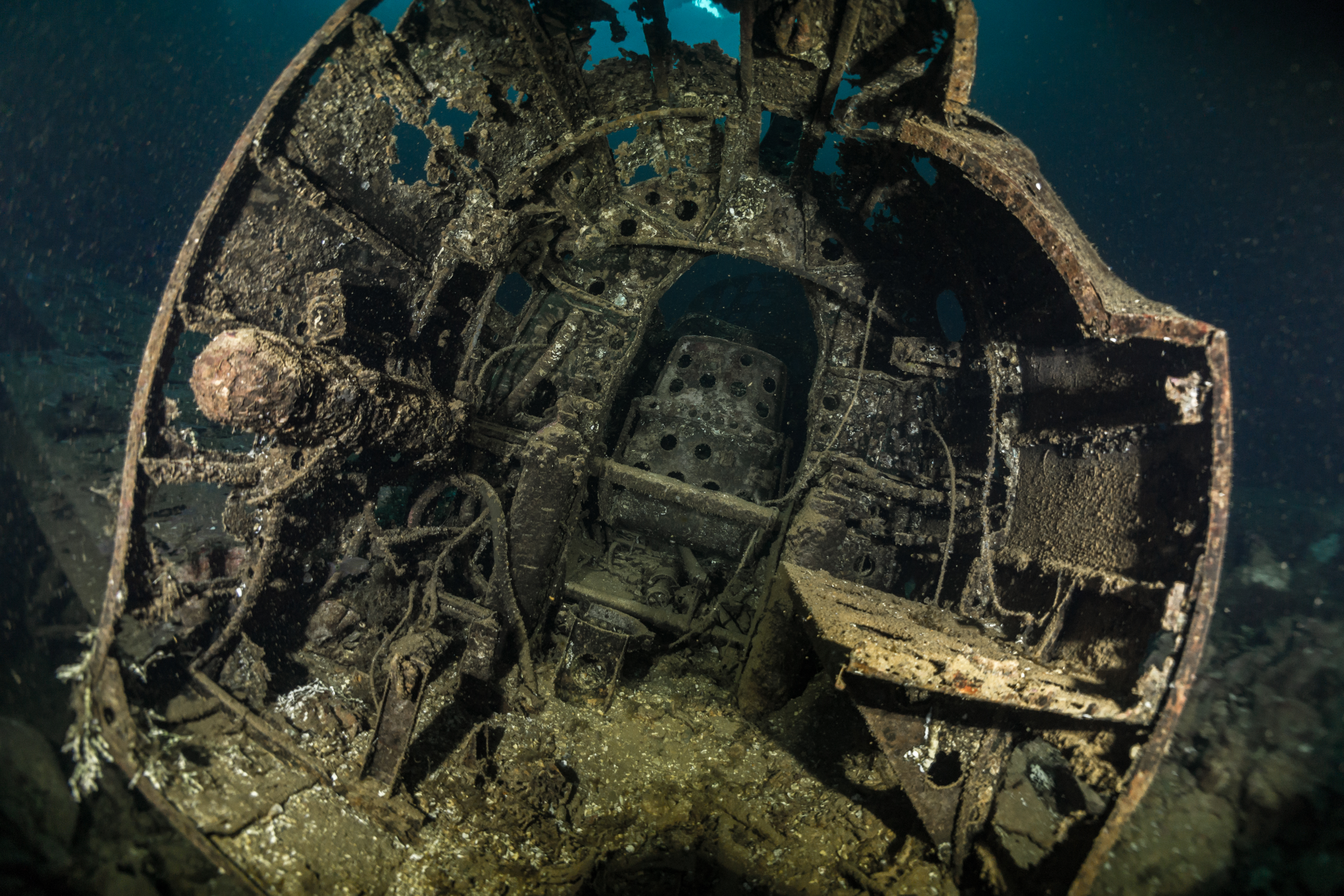 DSC02075 - Fujikawa Maru