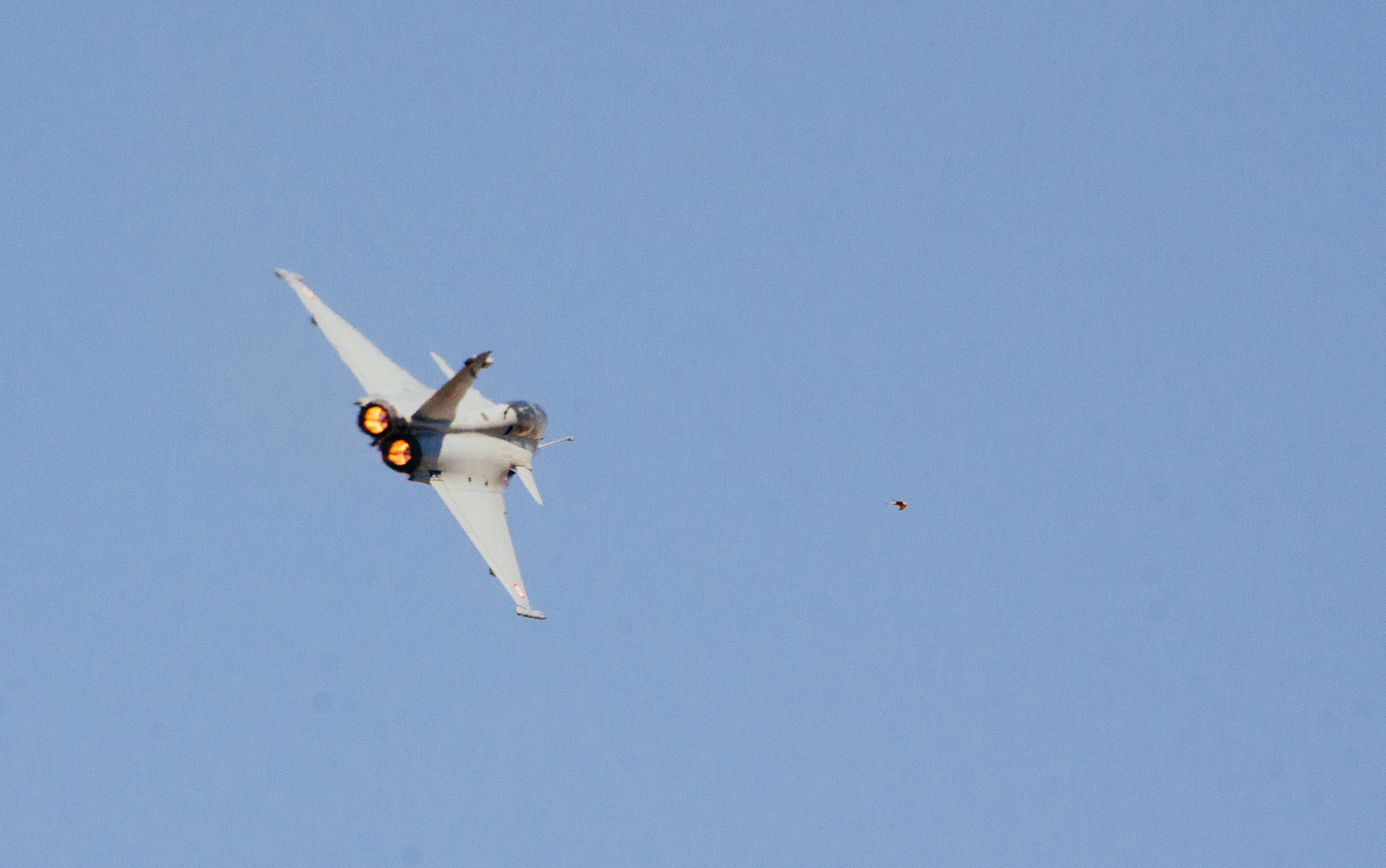 Dassault Rafale