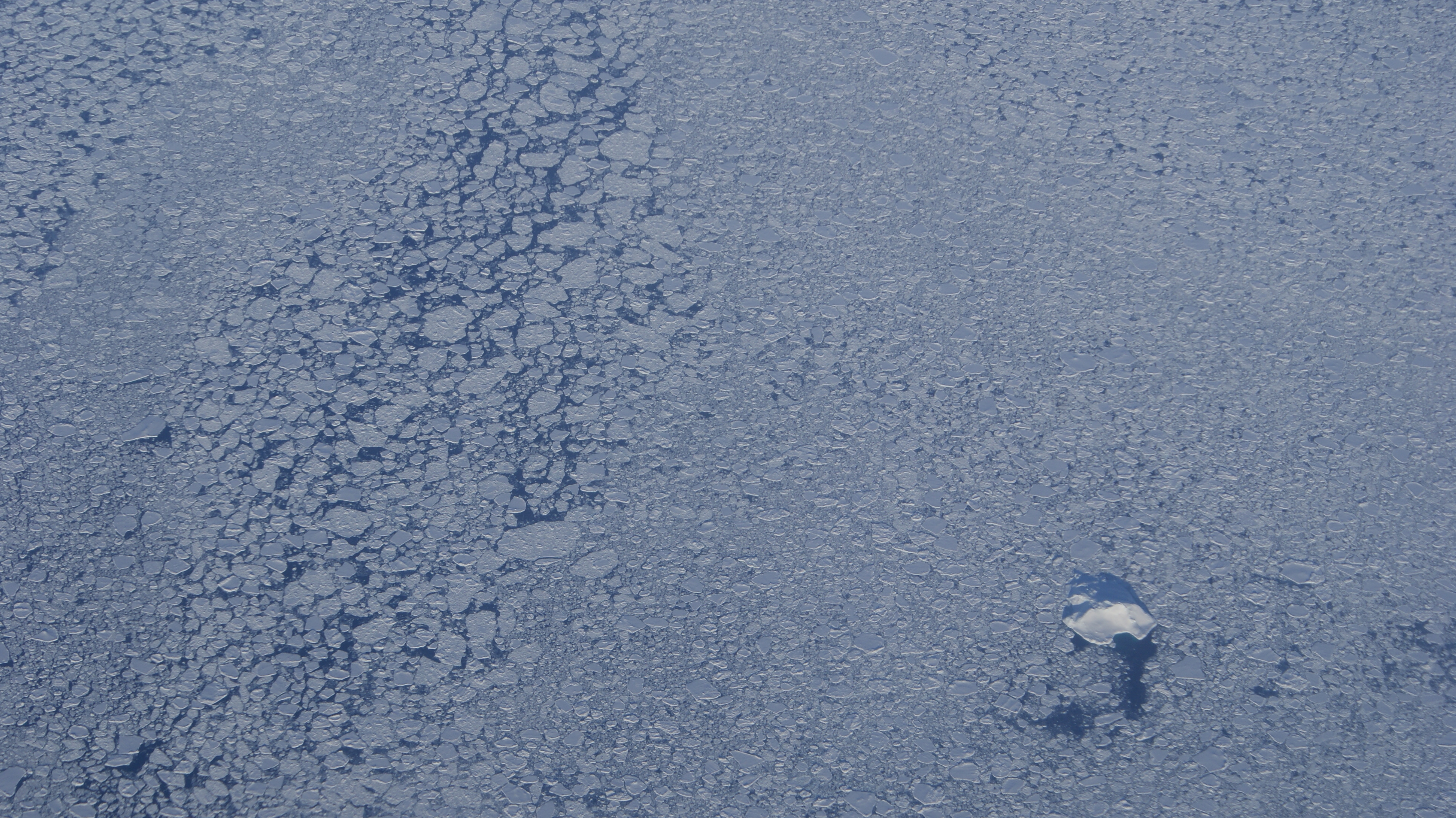 Denmark Strait pack ice