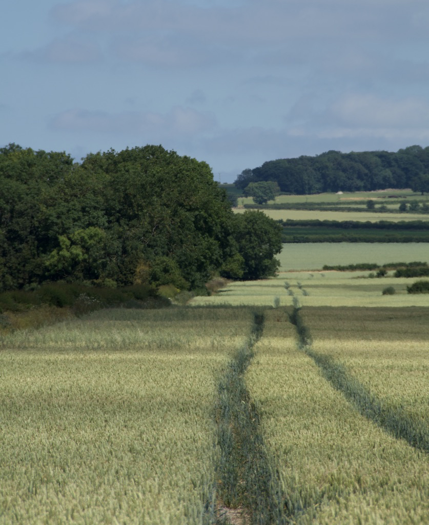 East Yorkshire Wolds farmland - geograph org uk