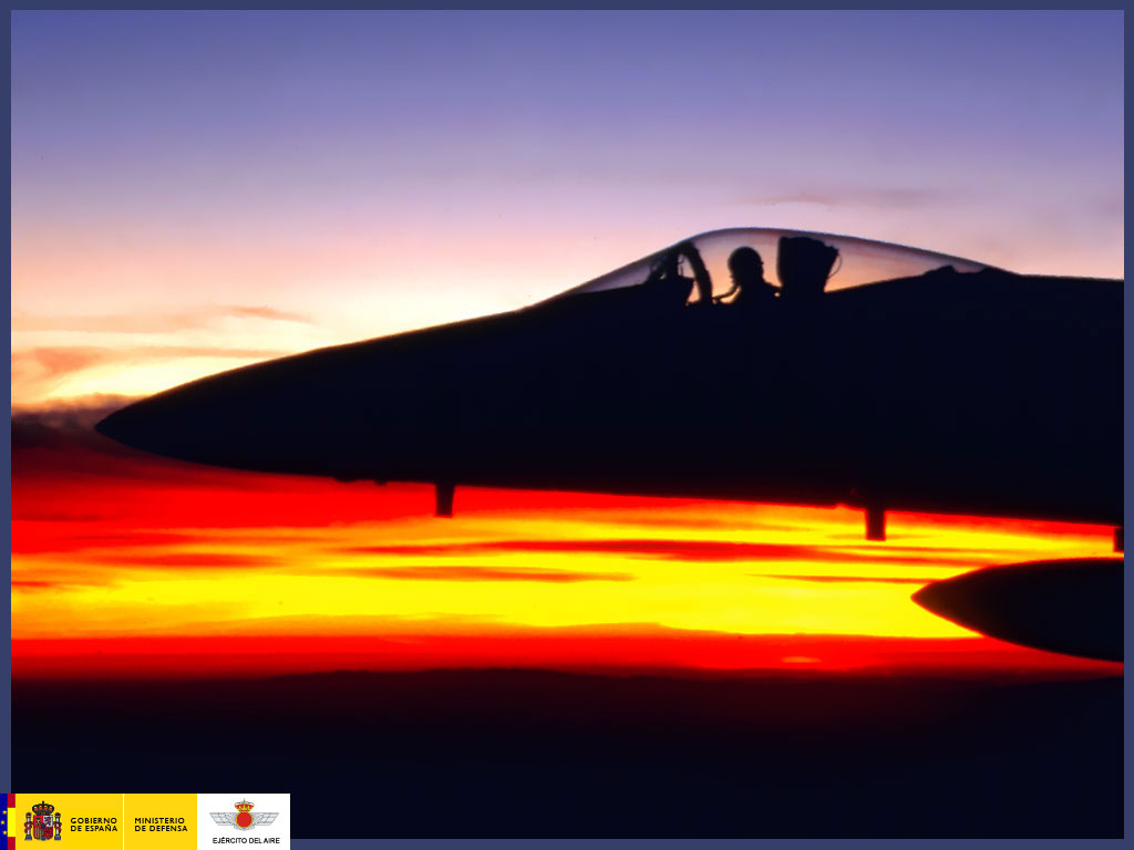 Ejército del Aire
