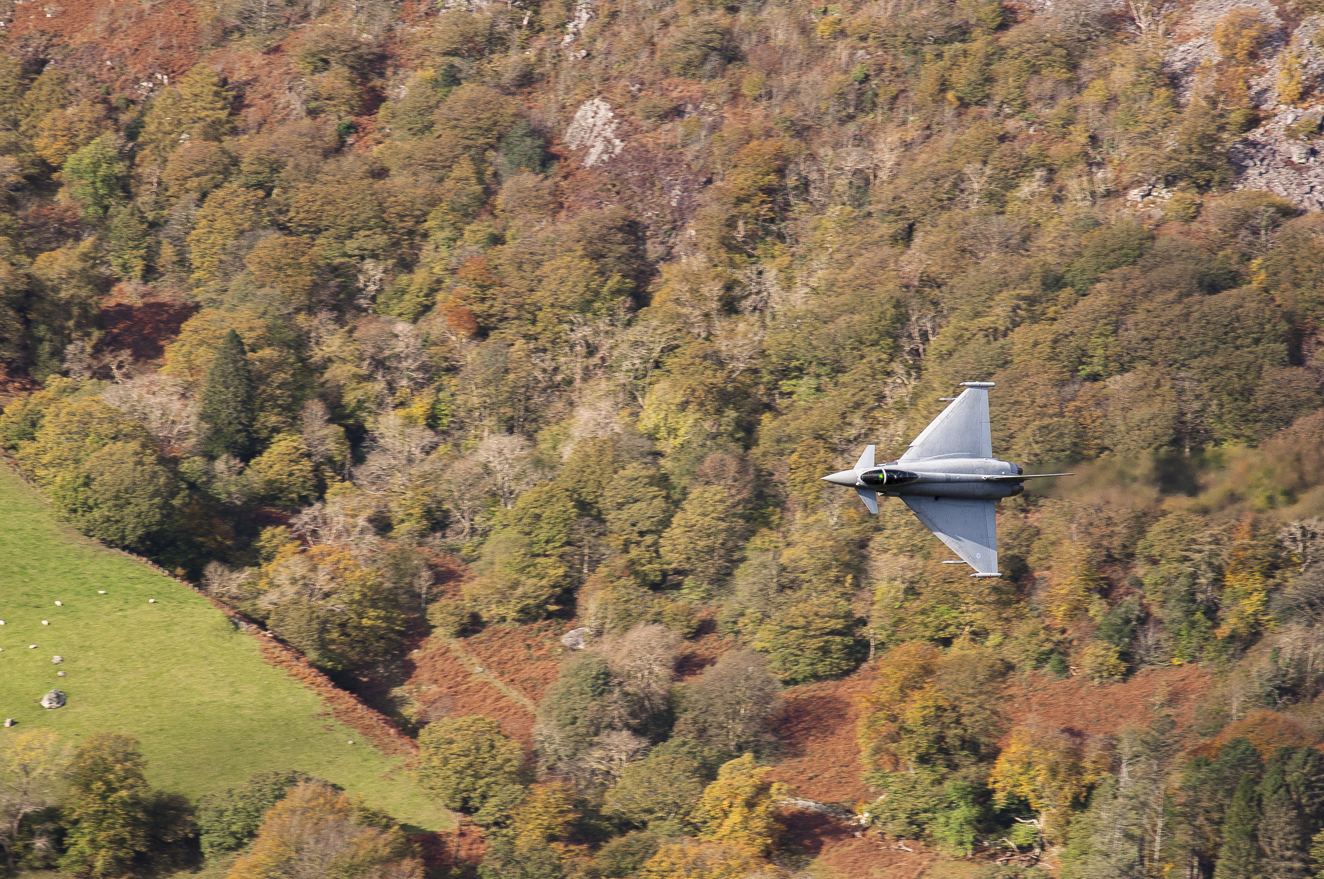 Eurofighter Typhoon