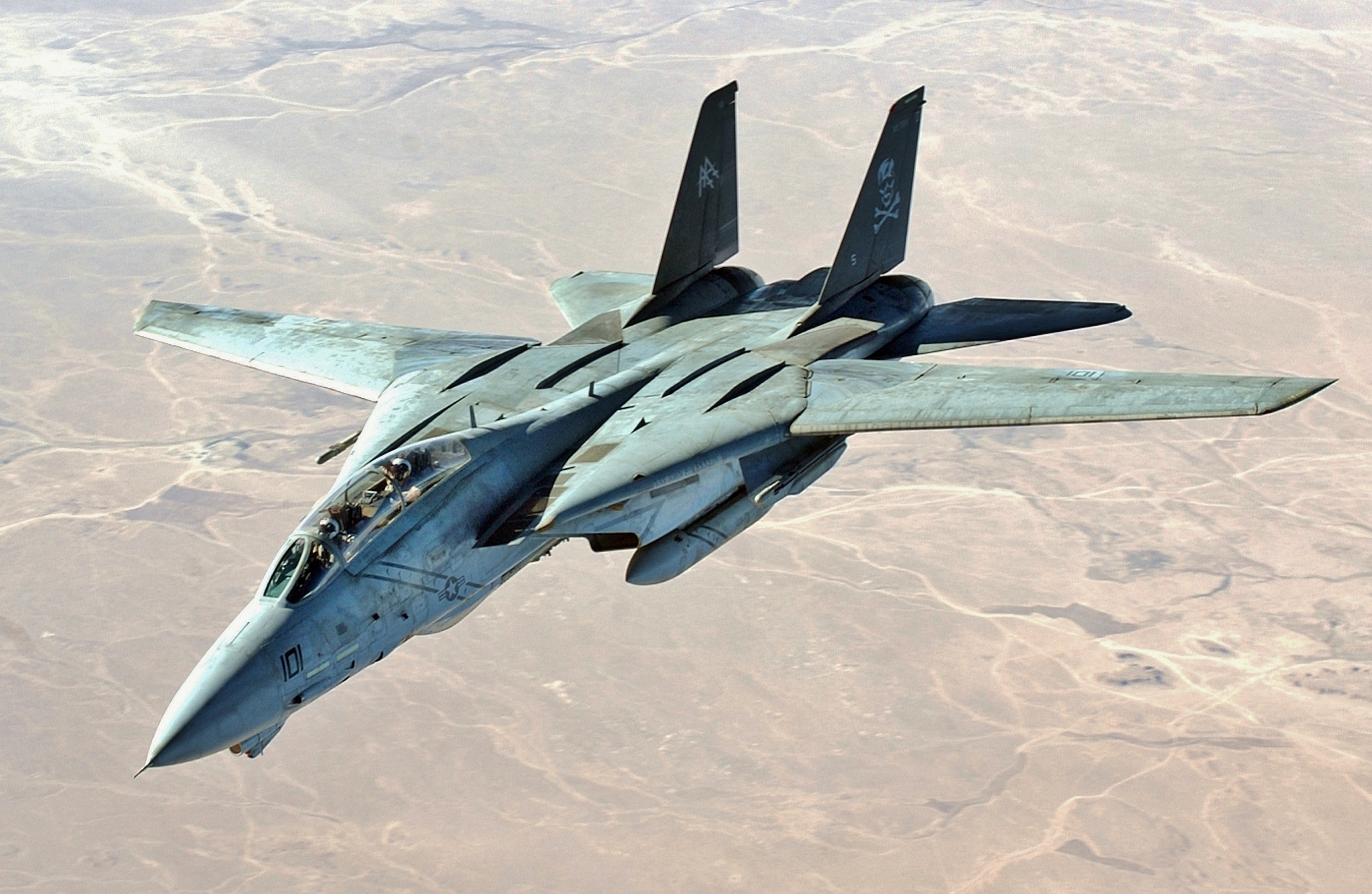 Grumman F-14 Tomcat
