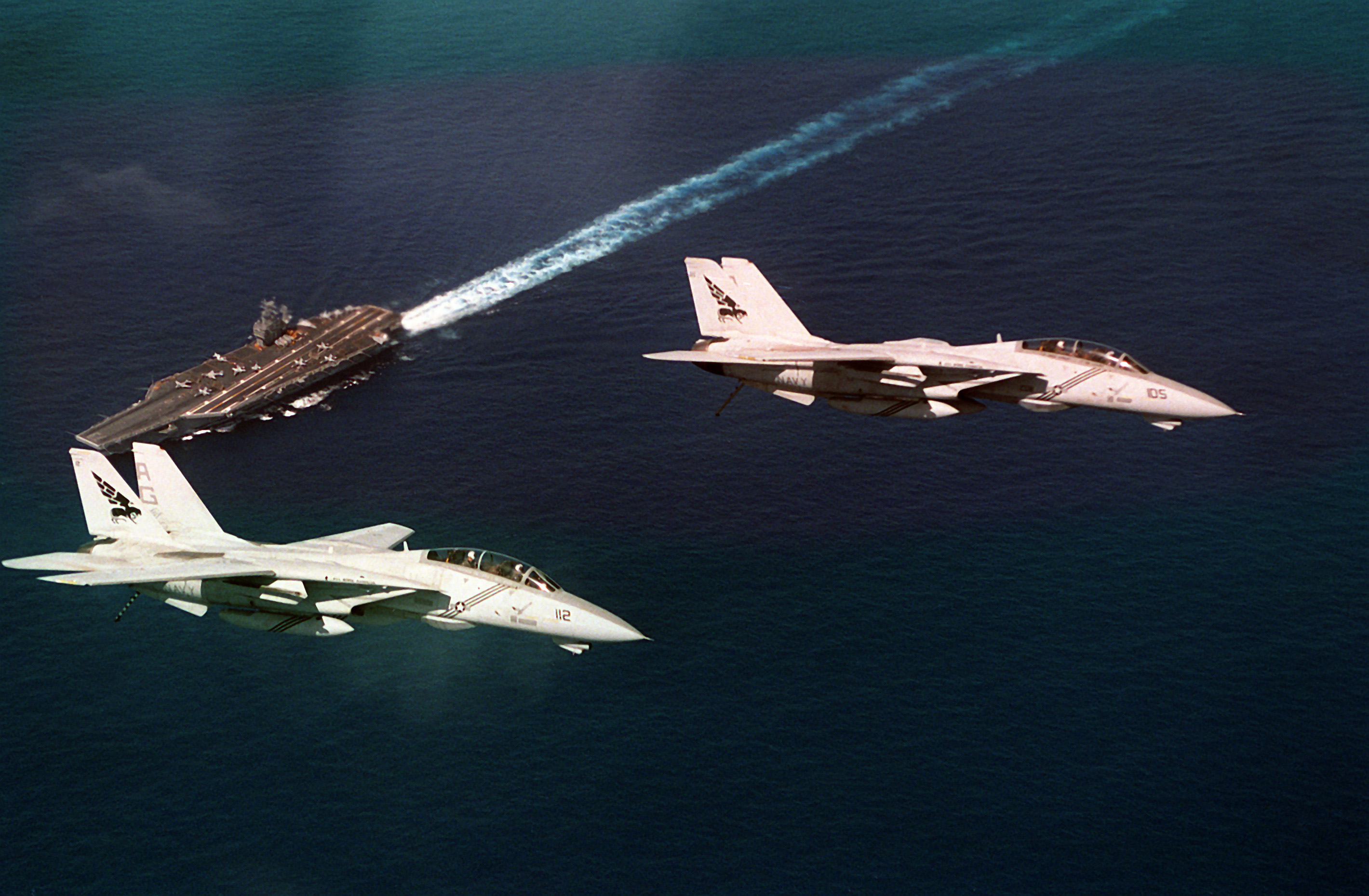 Grumman F-14 Tomcat