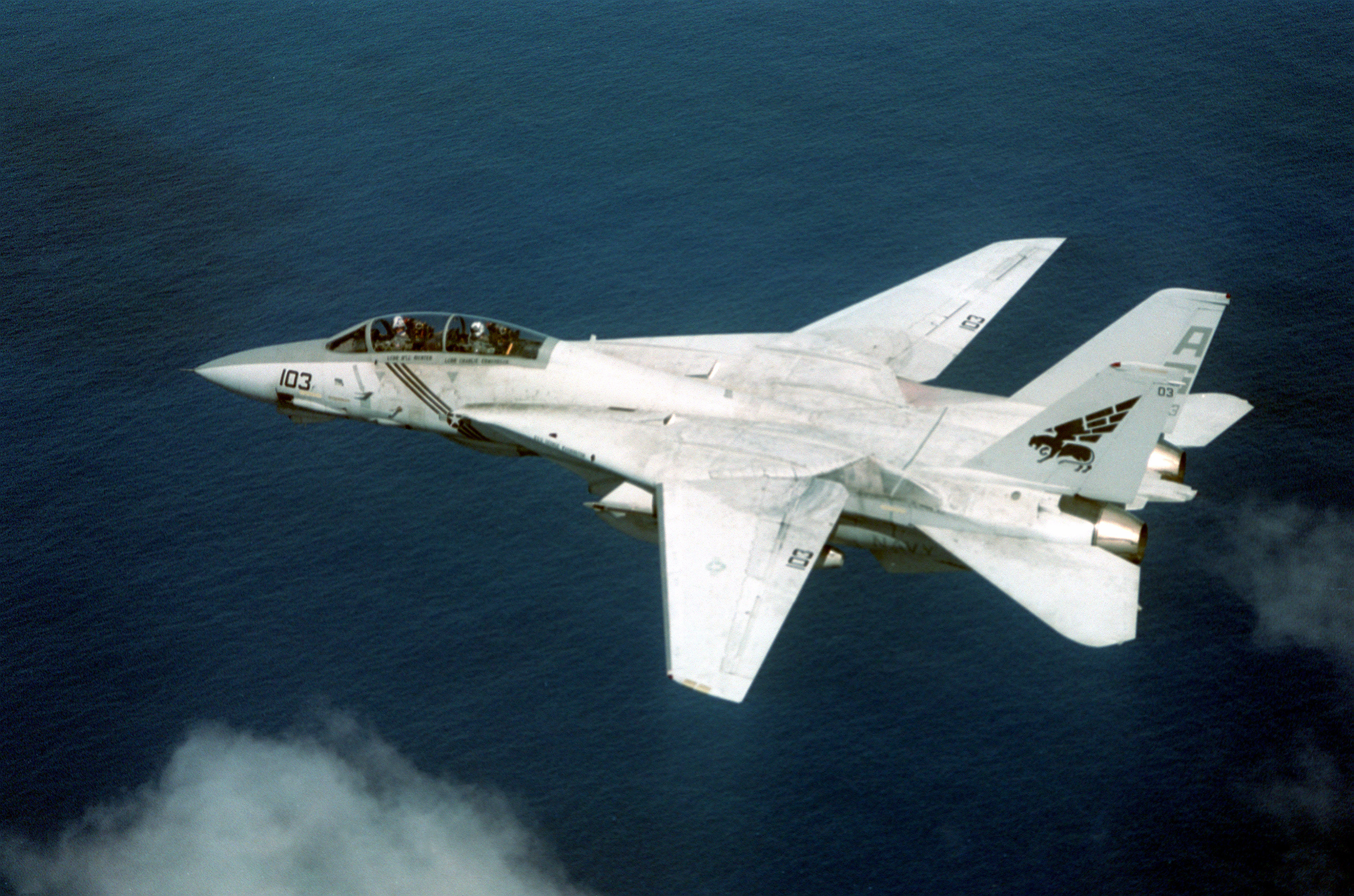 F-14B VF-143 overhead left side view