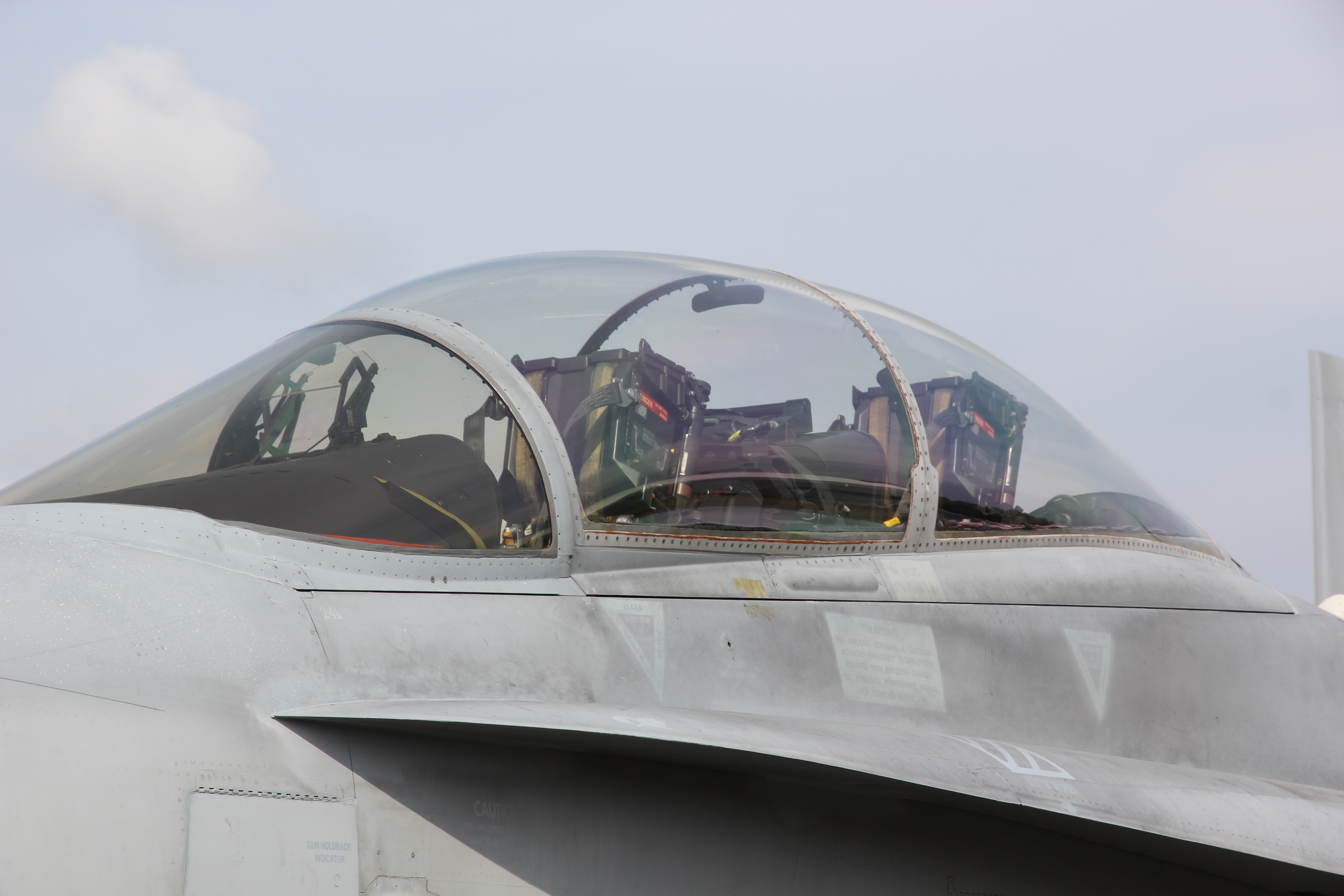 McDonnell Douglas F/A-18 Hornet