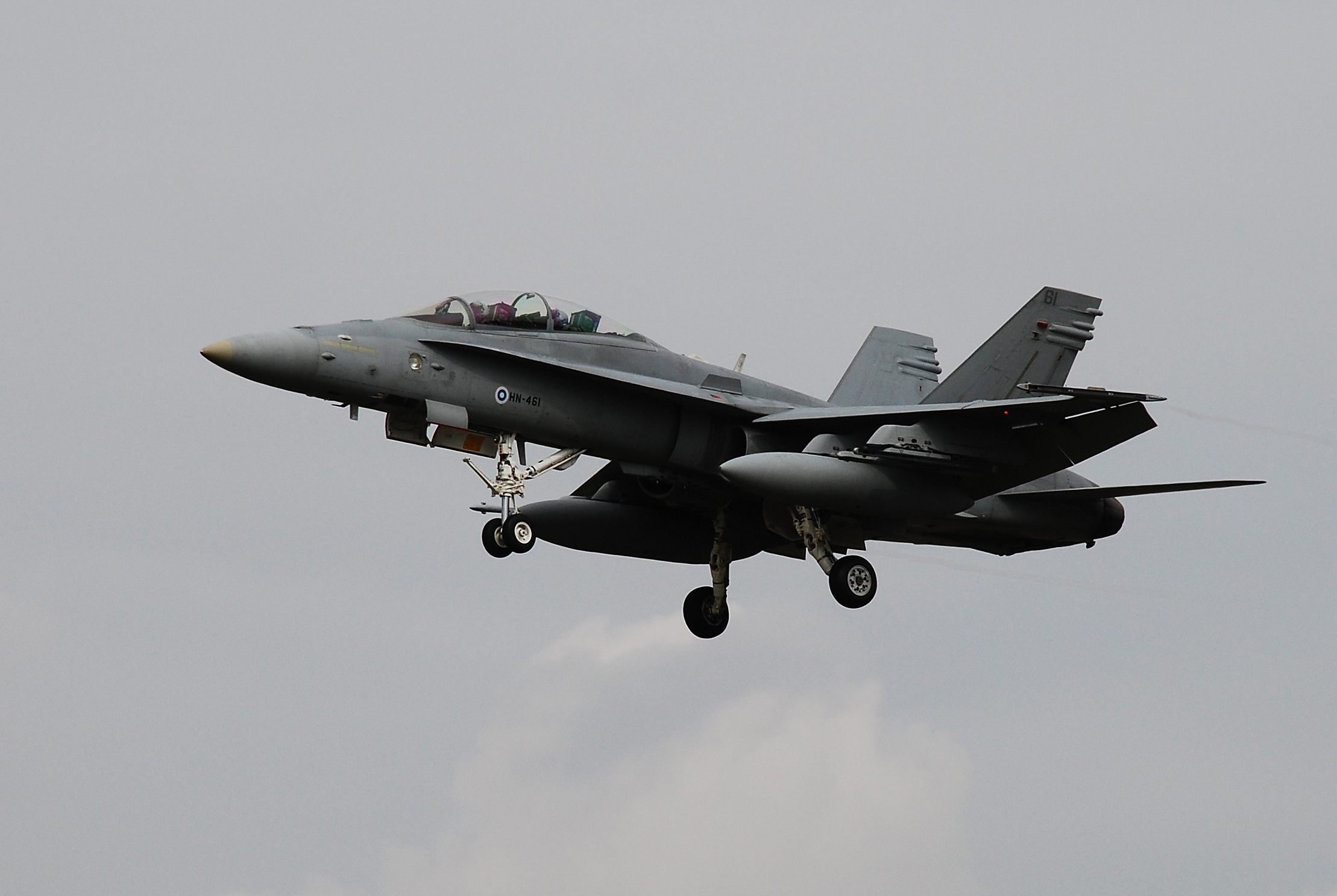 McDonnell Douglas F/A-18 Hornet
