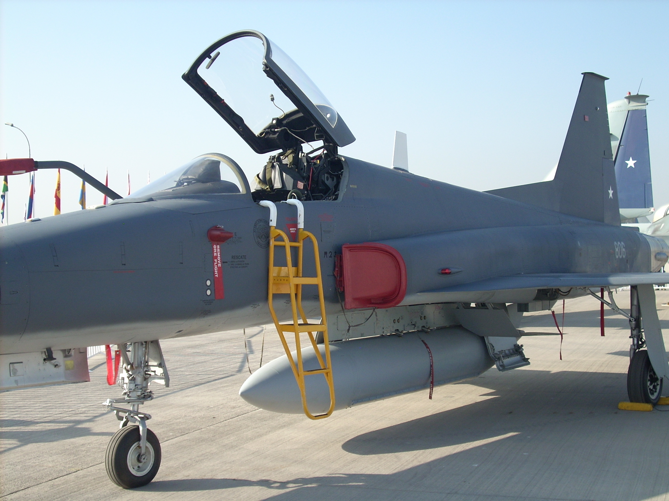 FIDAE 2014 - F-5 Tigre III FA Ch (DSCN 0502)