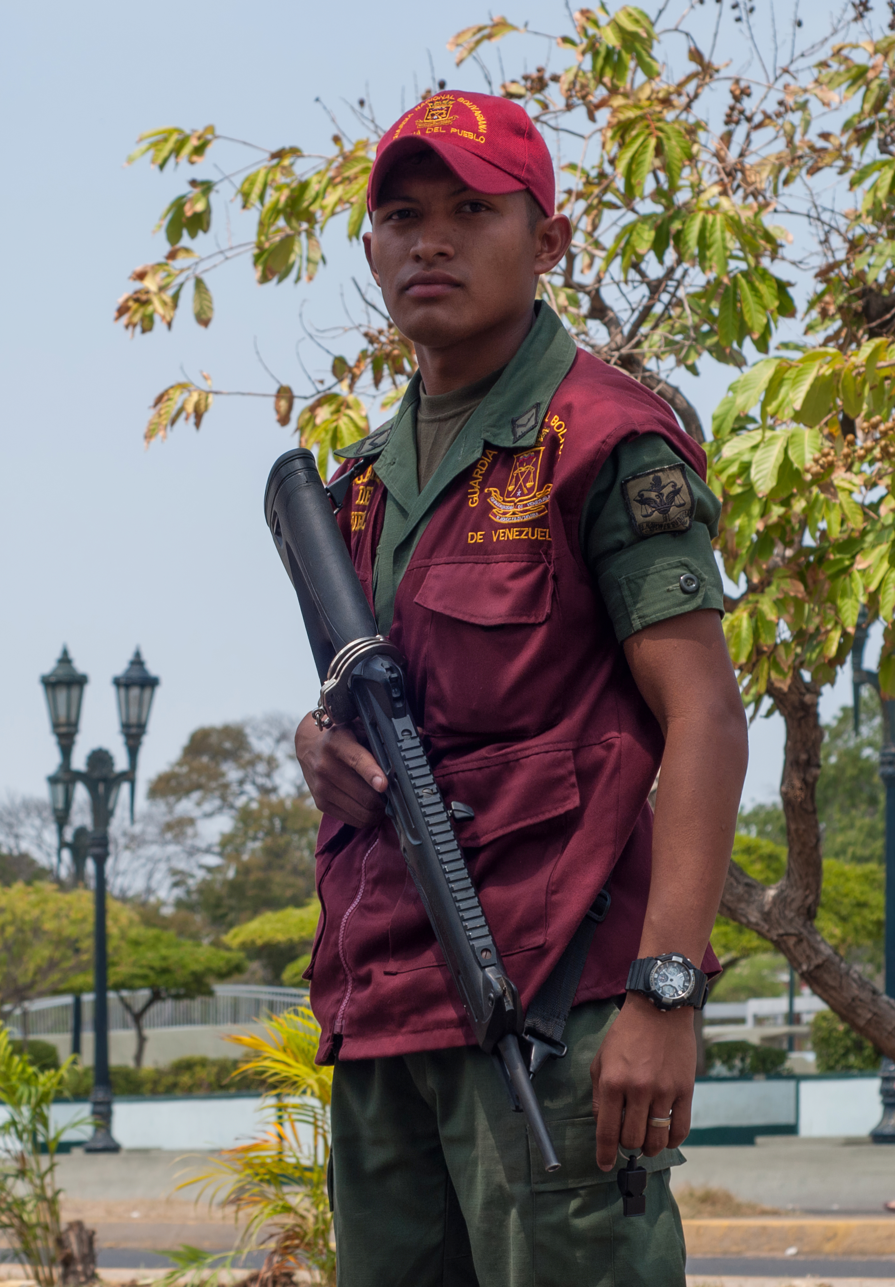 Fuerza Armada Nacional de Venezuela