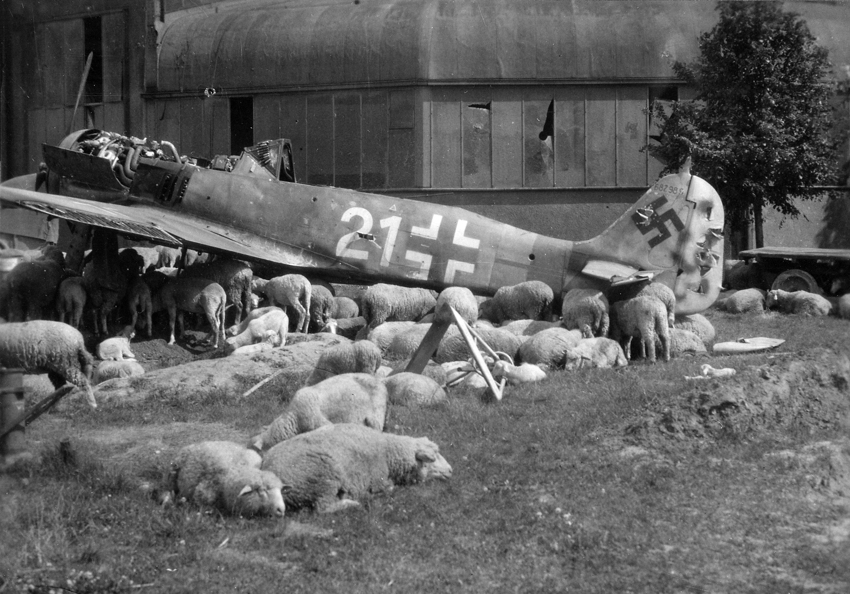Focke-Wulf Fw 190