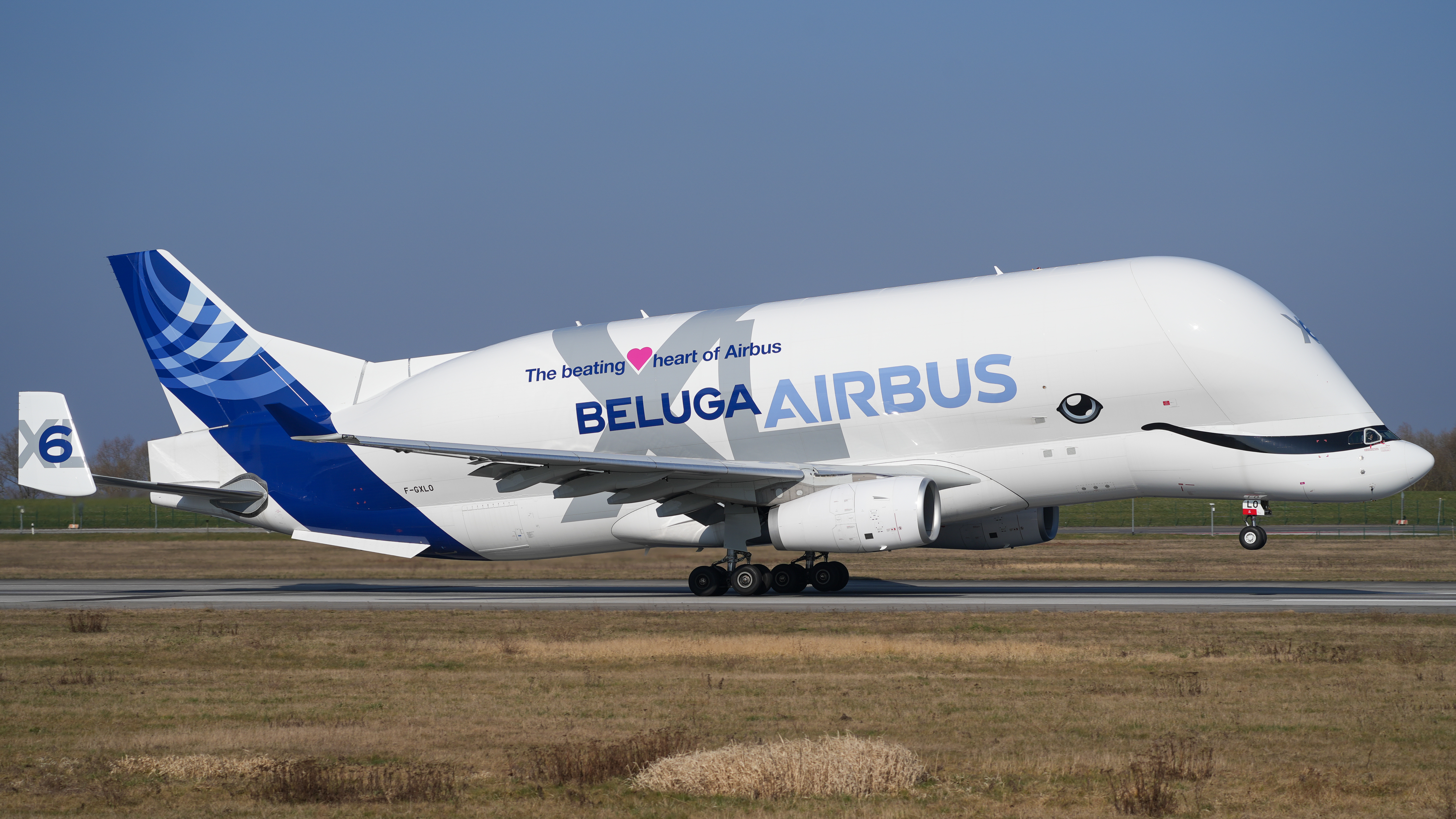 Hamburg Finkenwerder Airport Airbus Transport International Airbus A330-743L Beluga XL F GXLO (DSC08192)