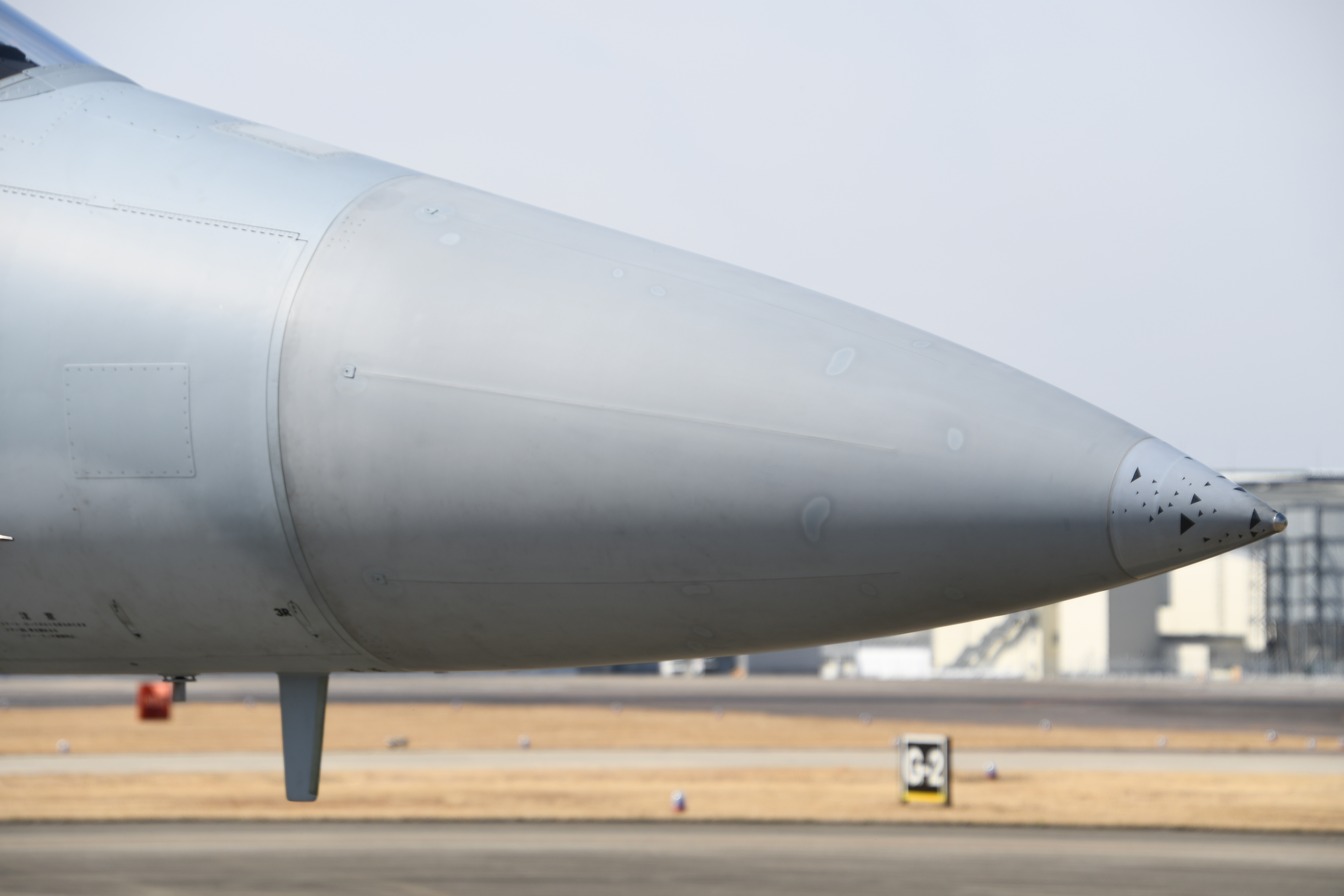 JASDF F-15J(32-8942) radome at Komaki Air Base March 3, 2018