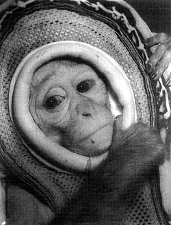 Project Mercury