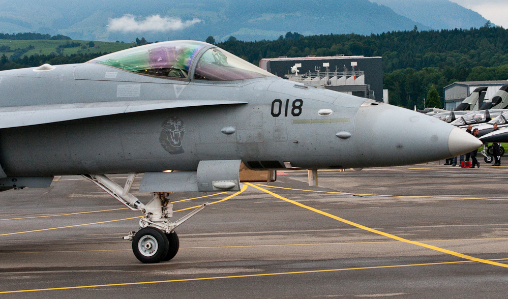 Muso e abitacolo di un F-18 in rullaggio