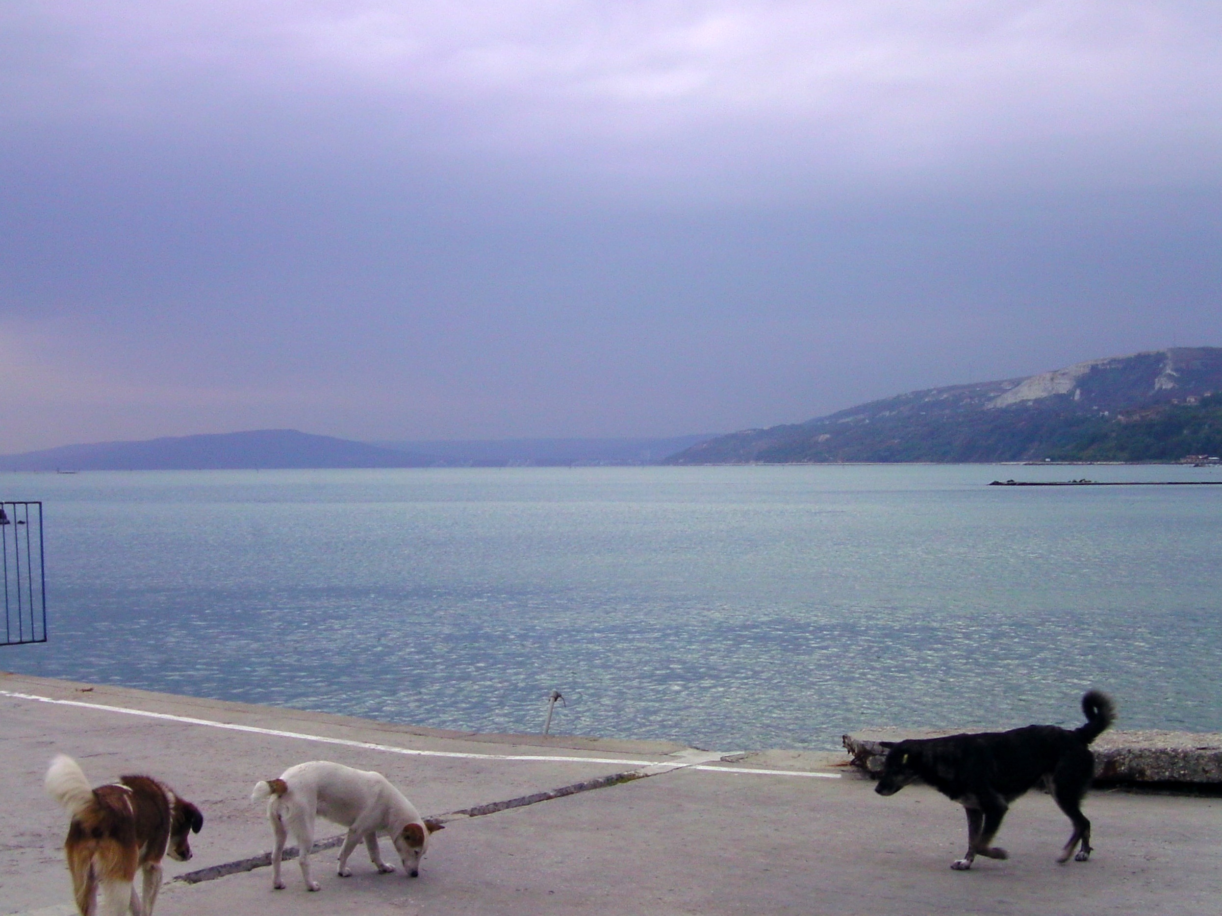 Atmosfera serale di ottobre sul Mar Nero, al molo di Balchik, Bulgaria