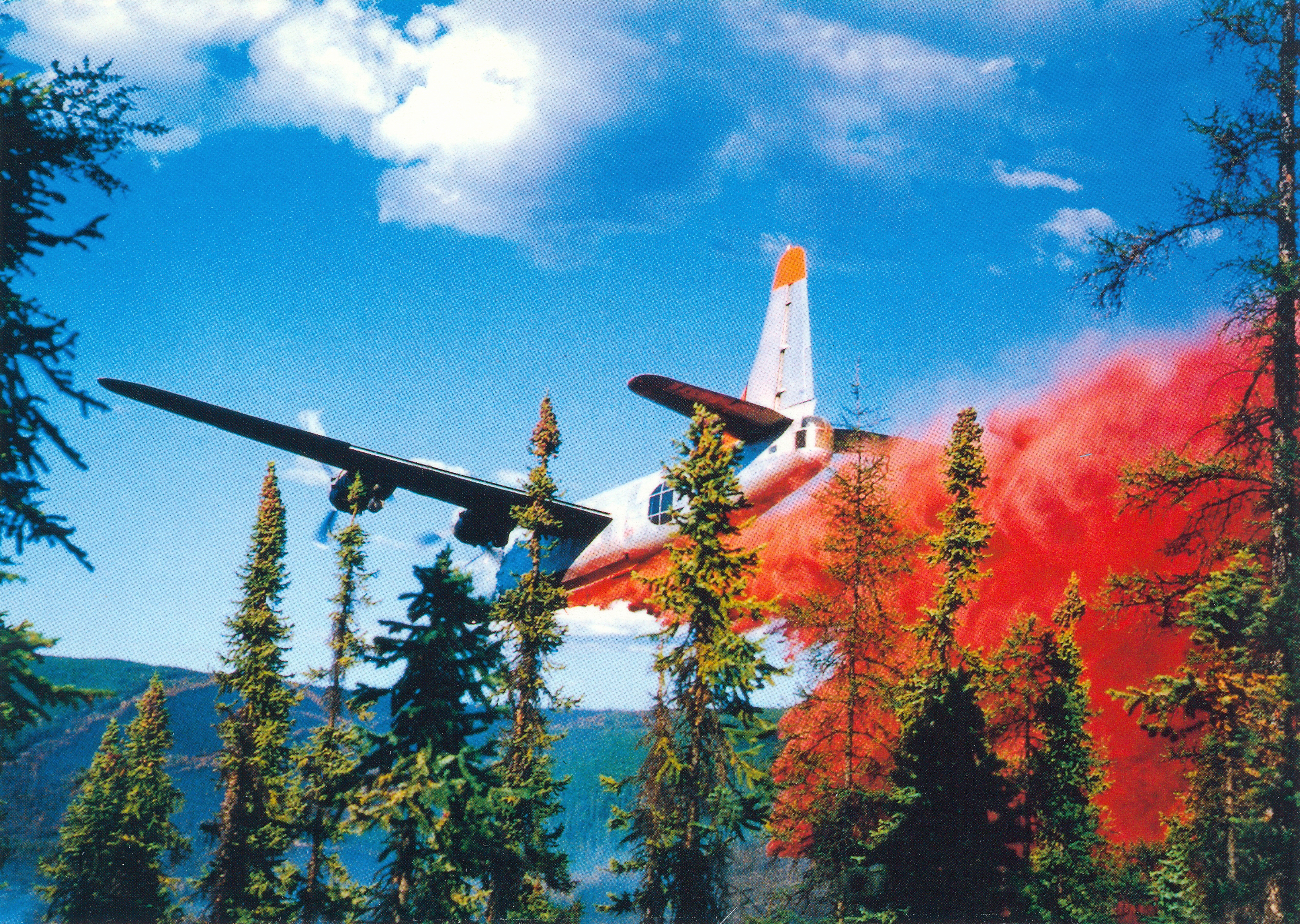 Consolidated B-24 Liberator
