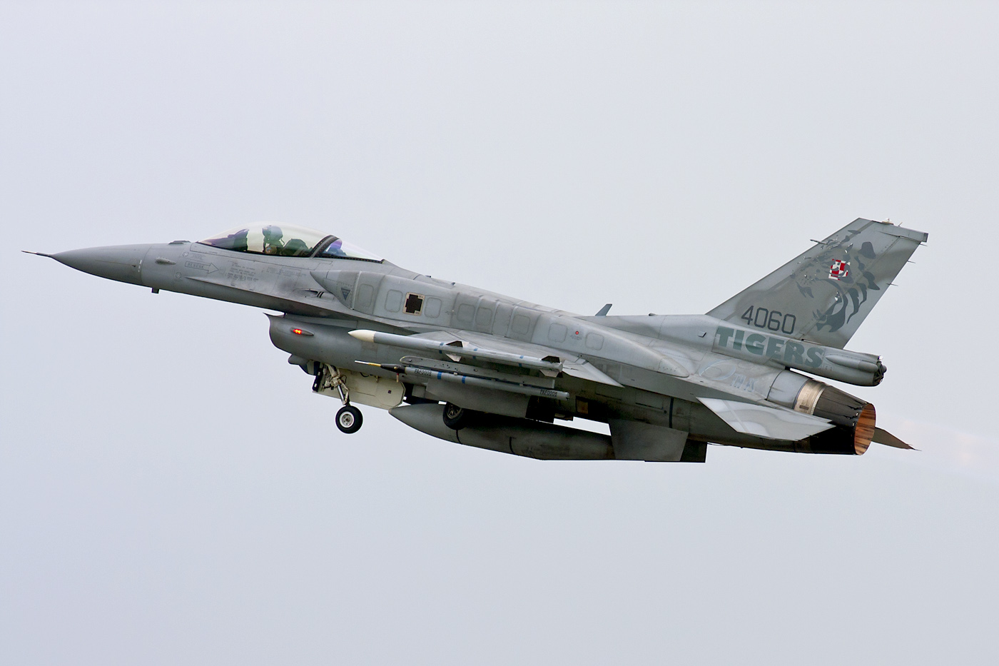 Polish Air Force (4060) F-16C Block 52 (6 ELT)