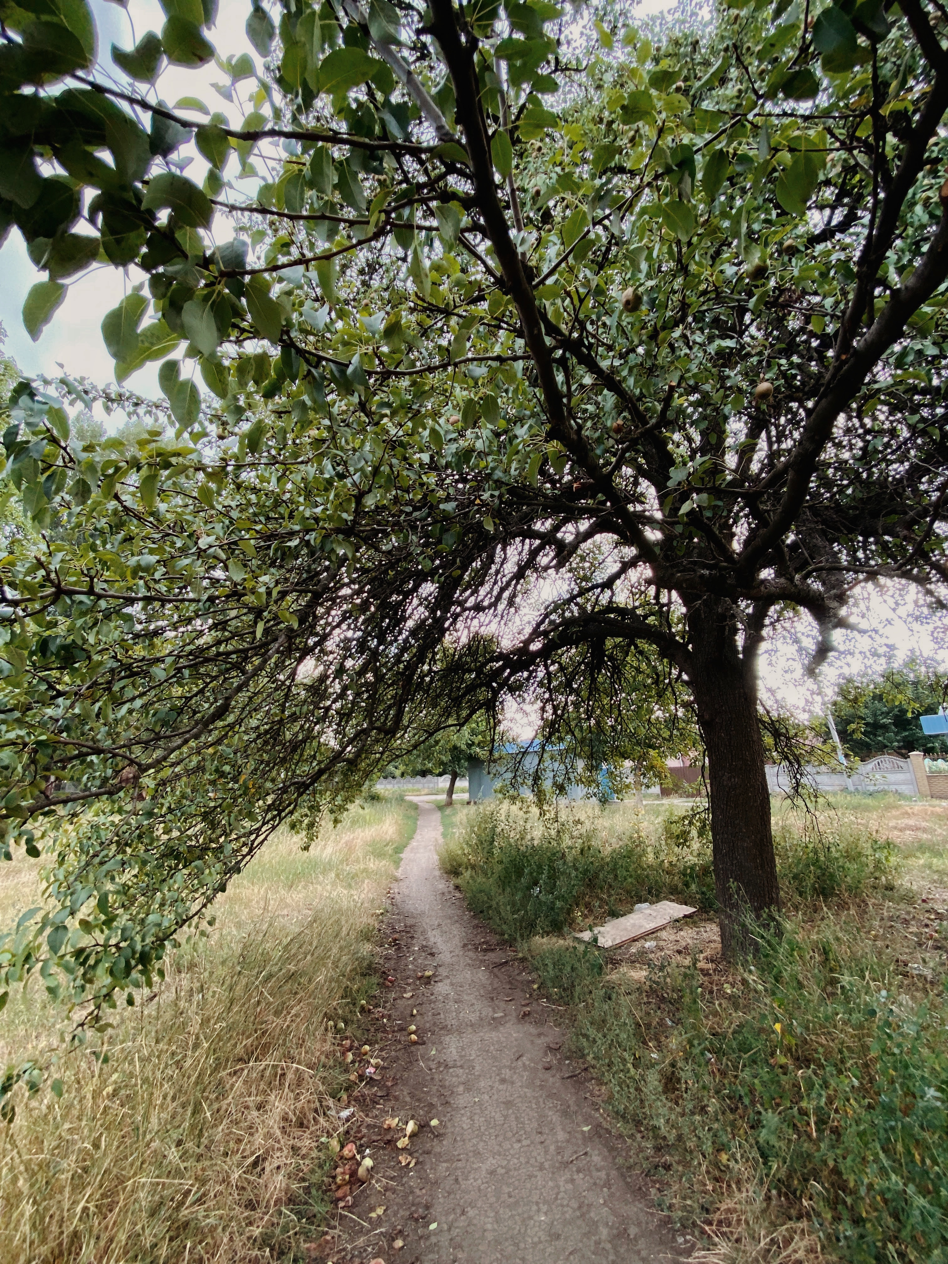 Private sector road