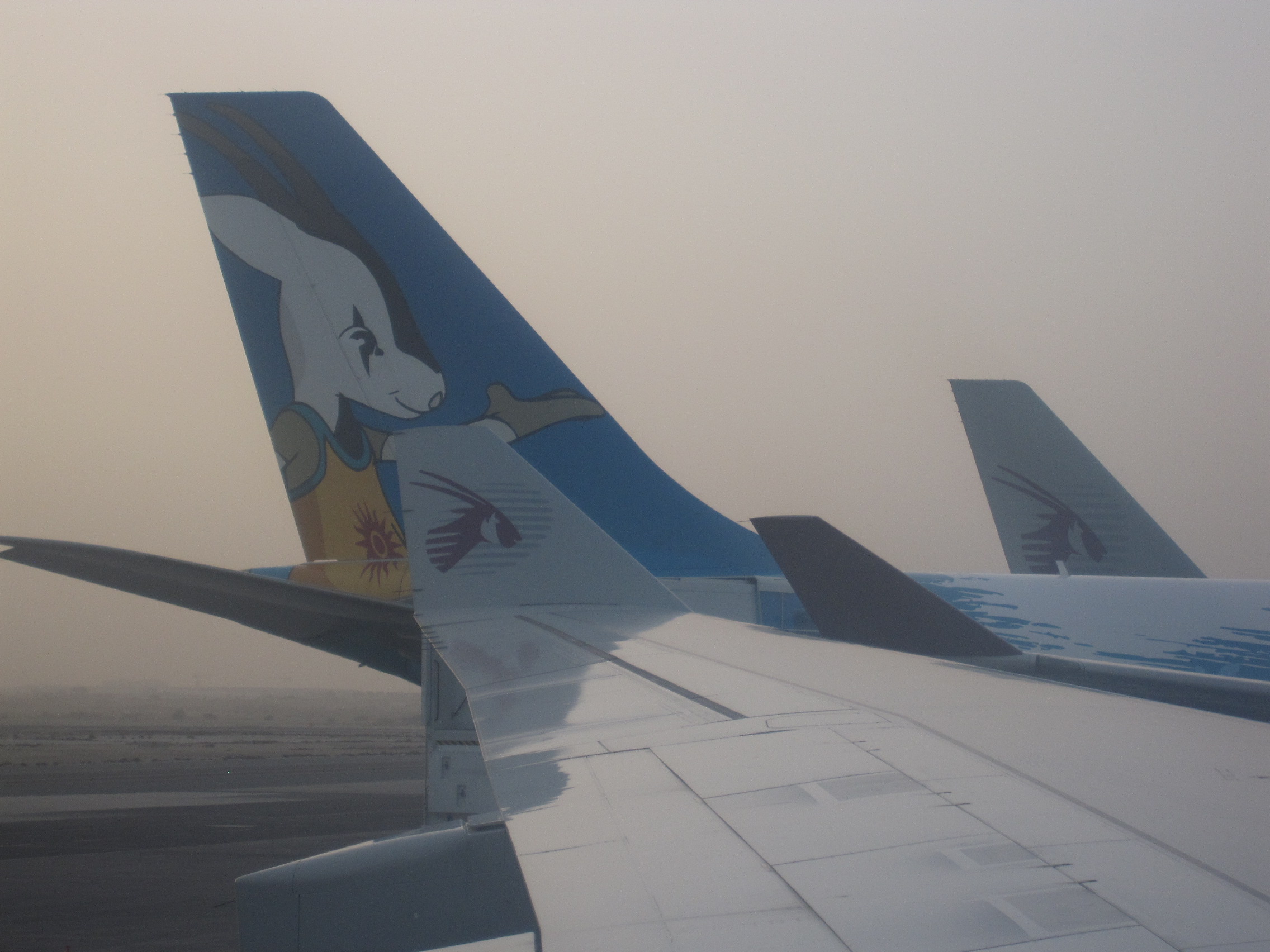 Qatar Airways airplanes