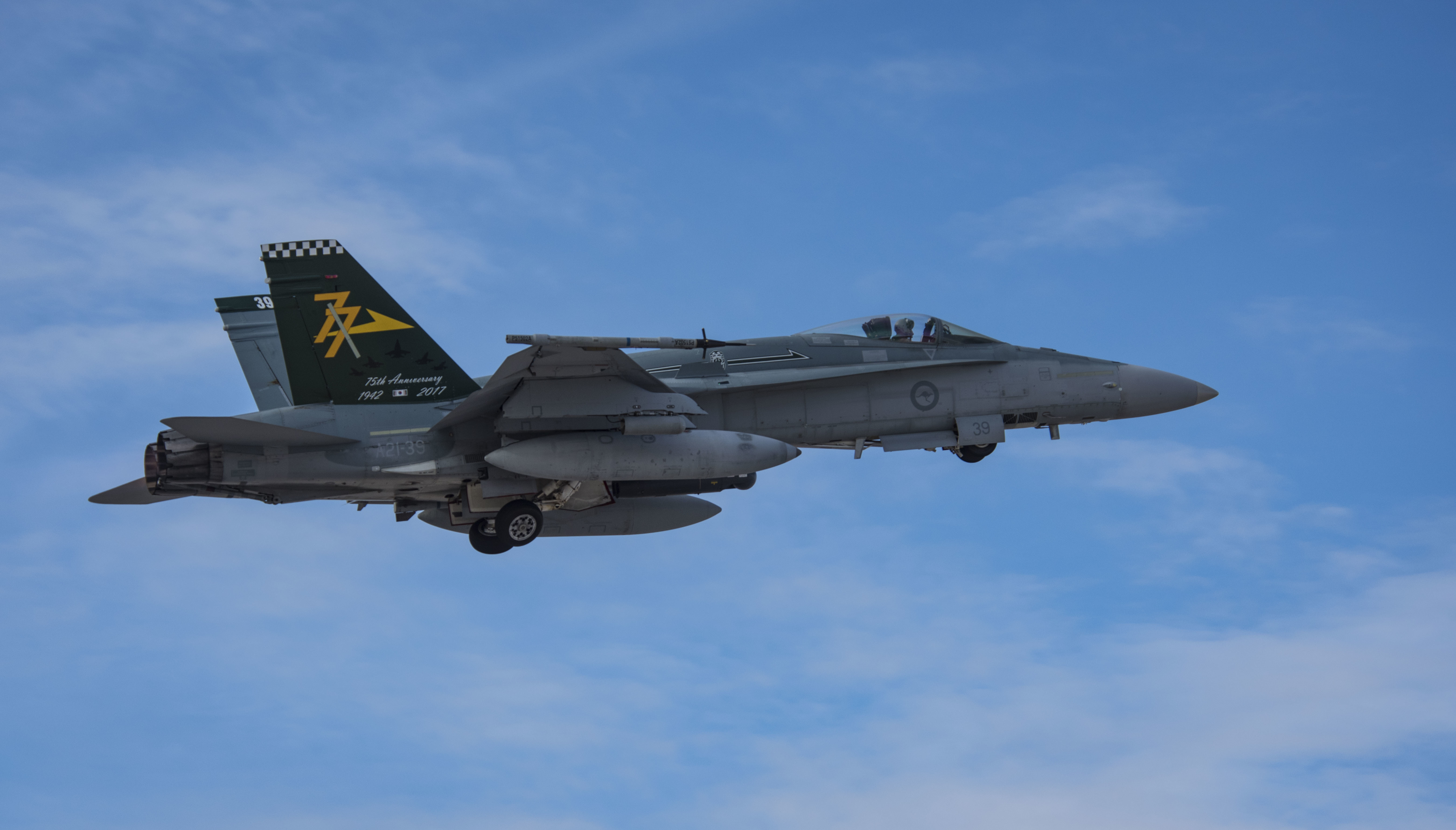McDonnell Douglas F/A-18 Hornet