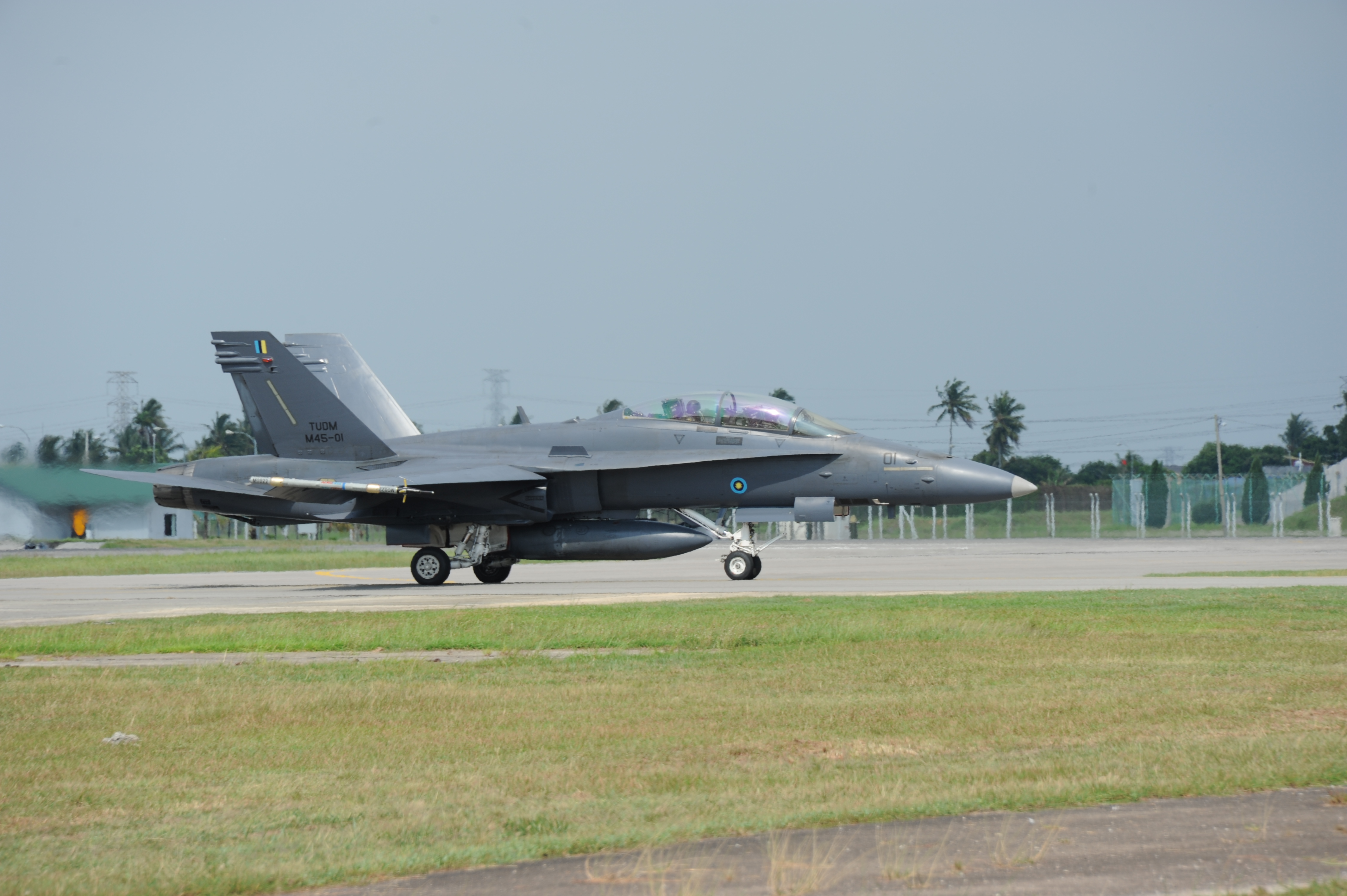 McDonnell Douglas F/A-18 Hornet