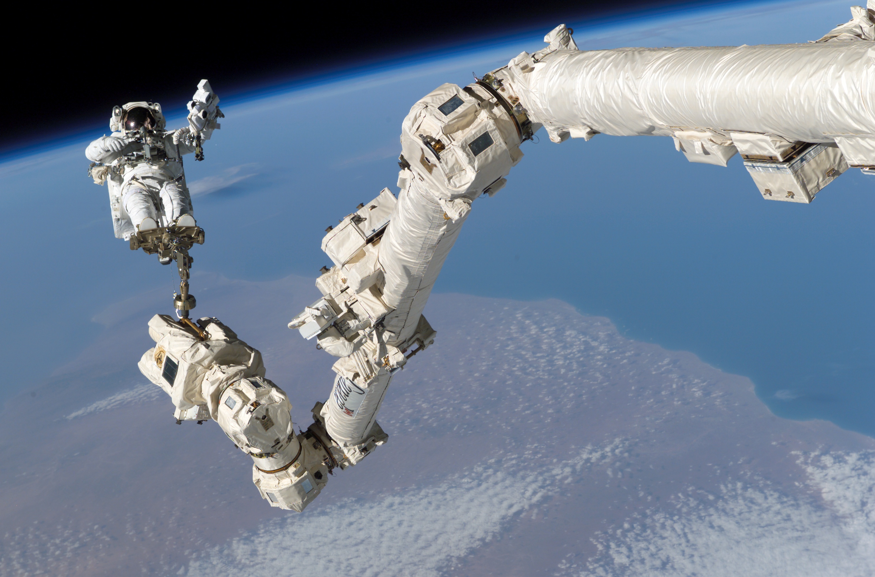 STS-114, Steve Robinson en el Canadarm2