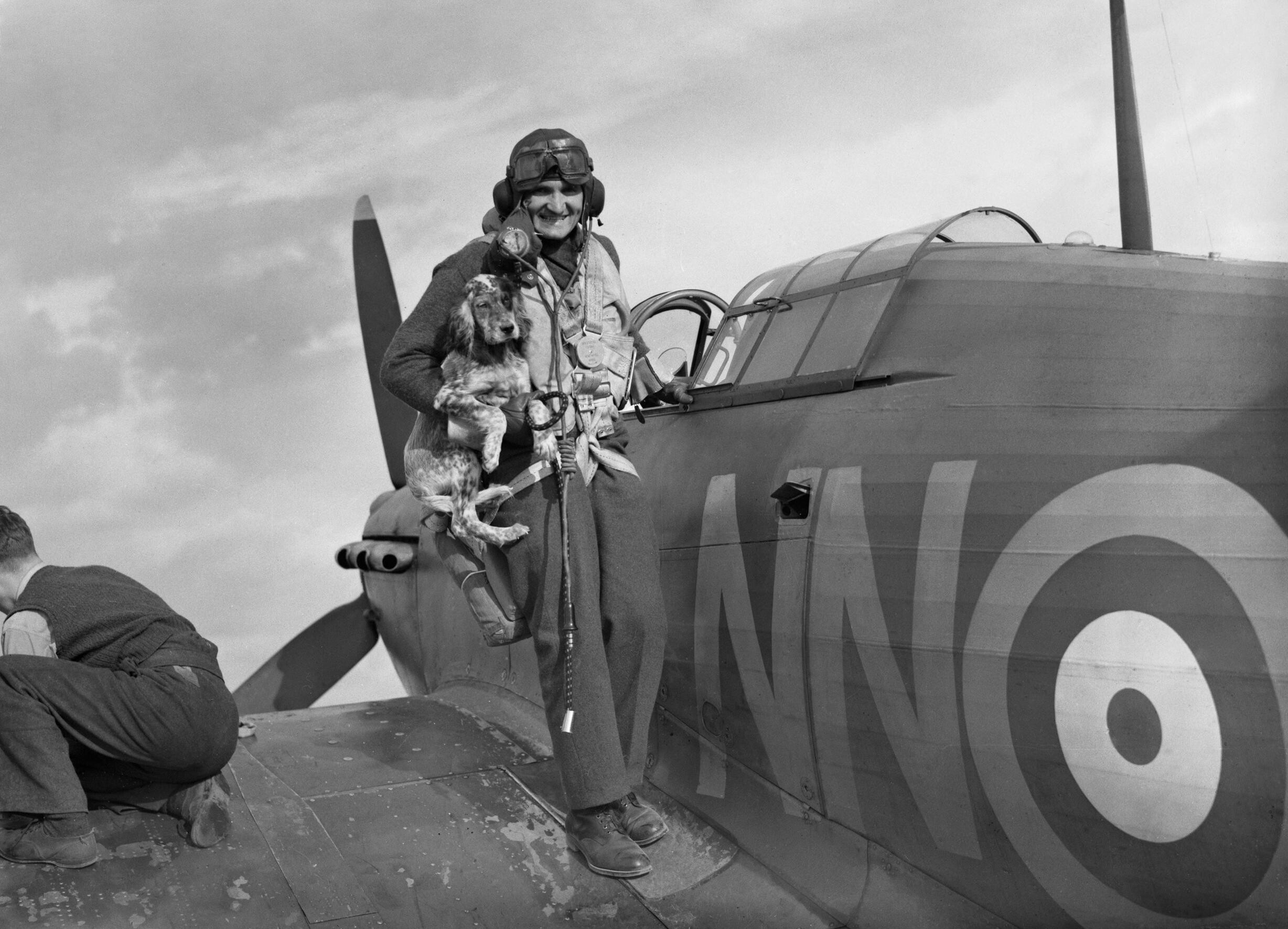 Sergeant Bohumil Furst von der No. 310 (Czechoslovak) Squadron wird bei seiner Rückkehr nach Duxford nach einem Einsatz mit seiner Hawker Hurricane Mk I vom Maskottchen der Staffel begrüßt, 7. September 1940. CH1296