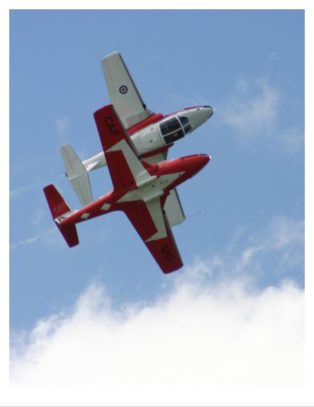 Snowbirds, original