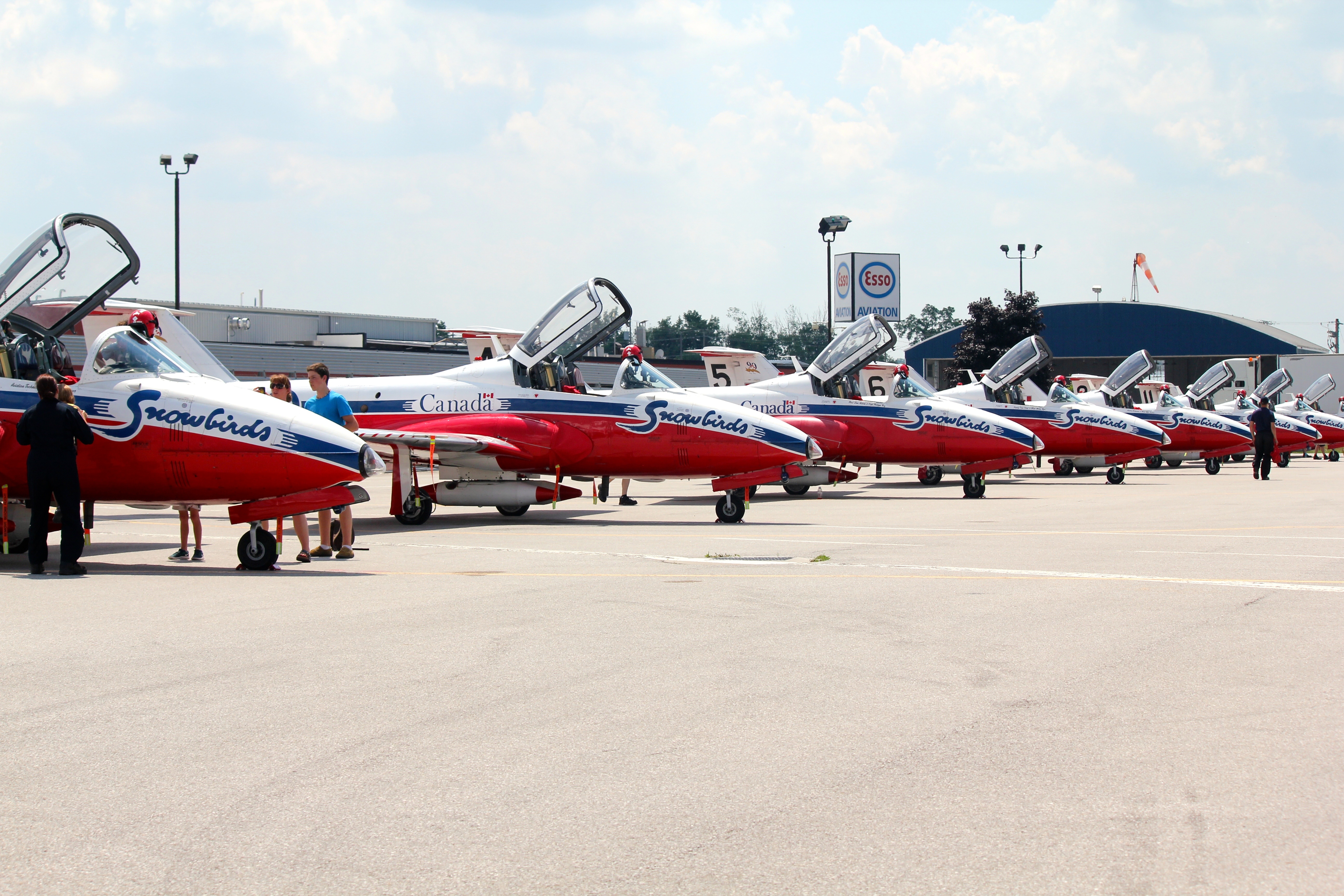 Snowbirds
