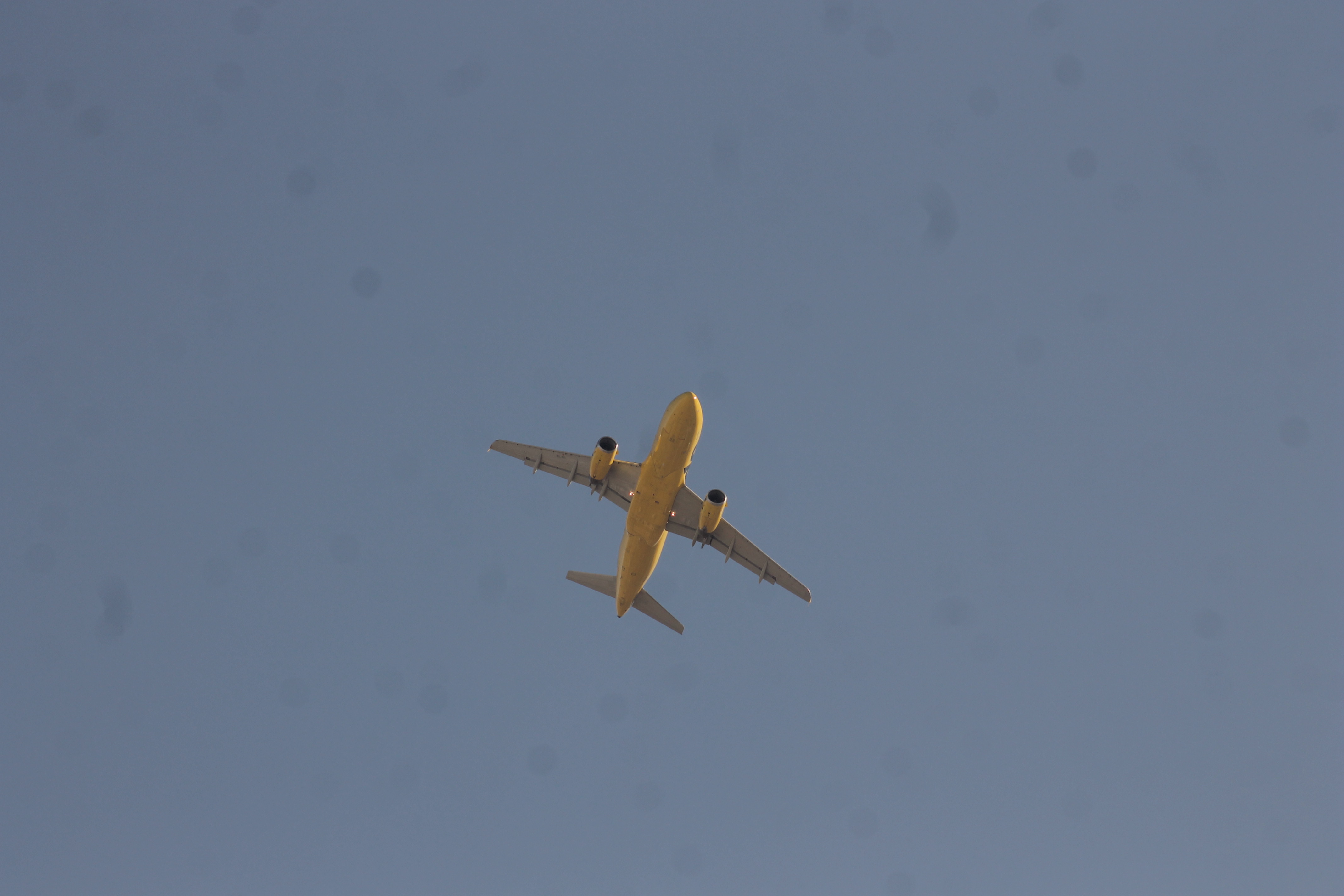 Spirit Airlines Airbus over Las Vegas