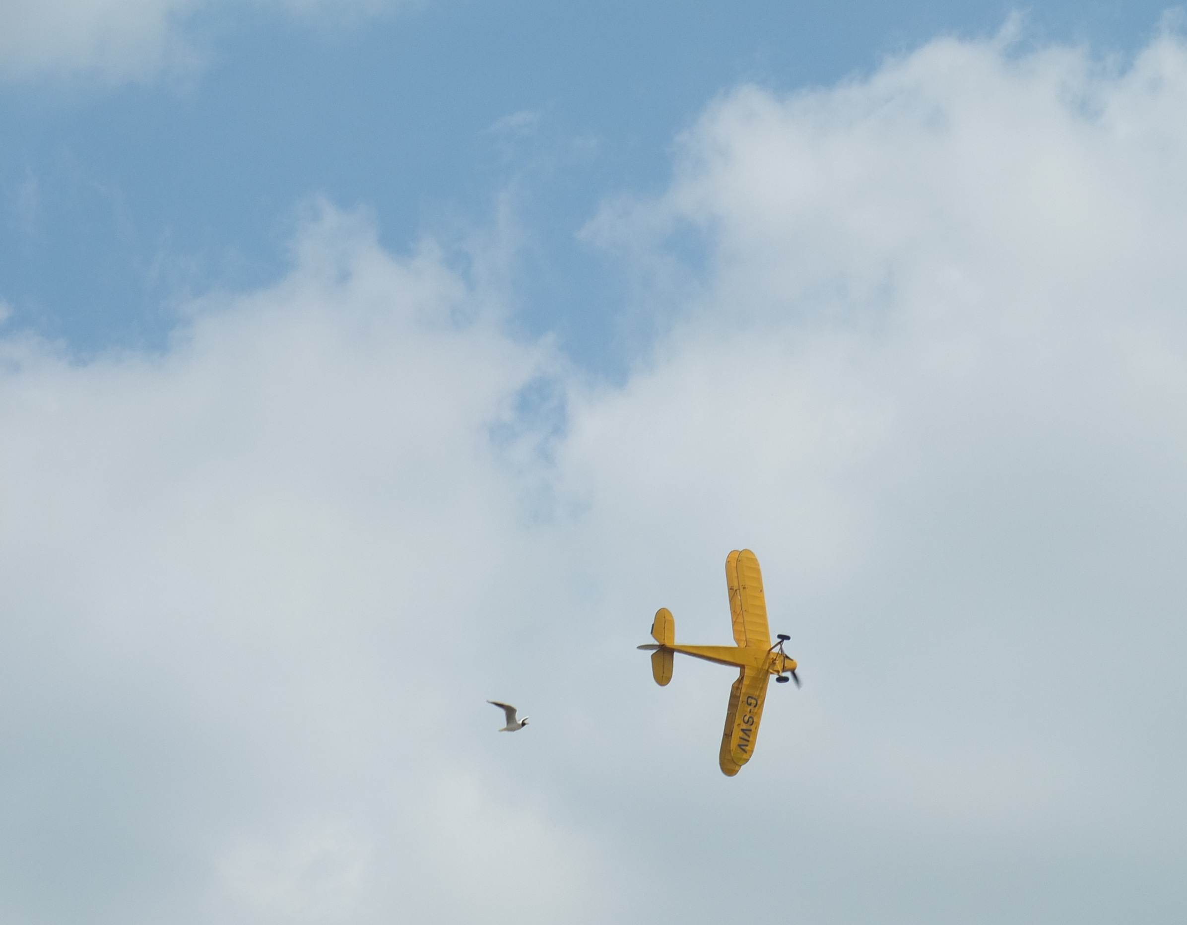 Stampe SV-4