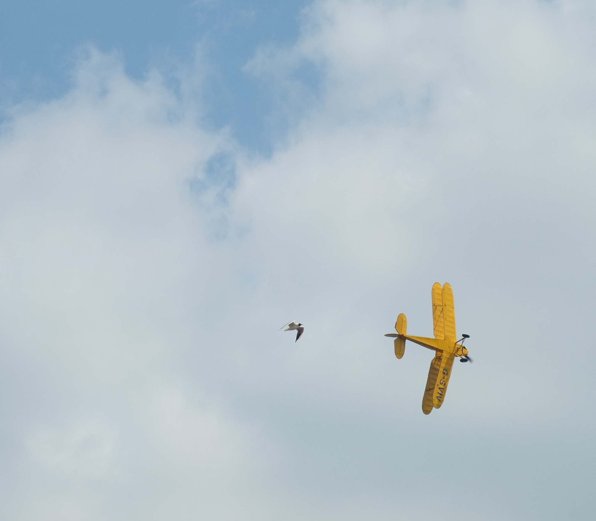 Stampe SV-4