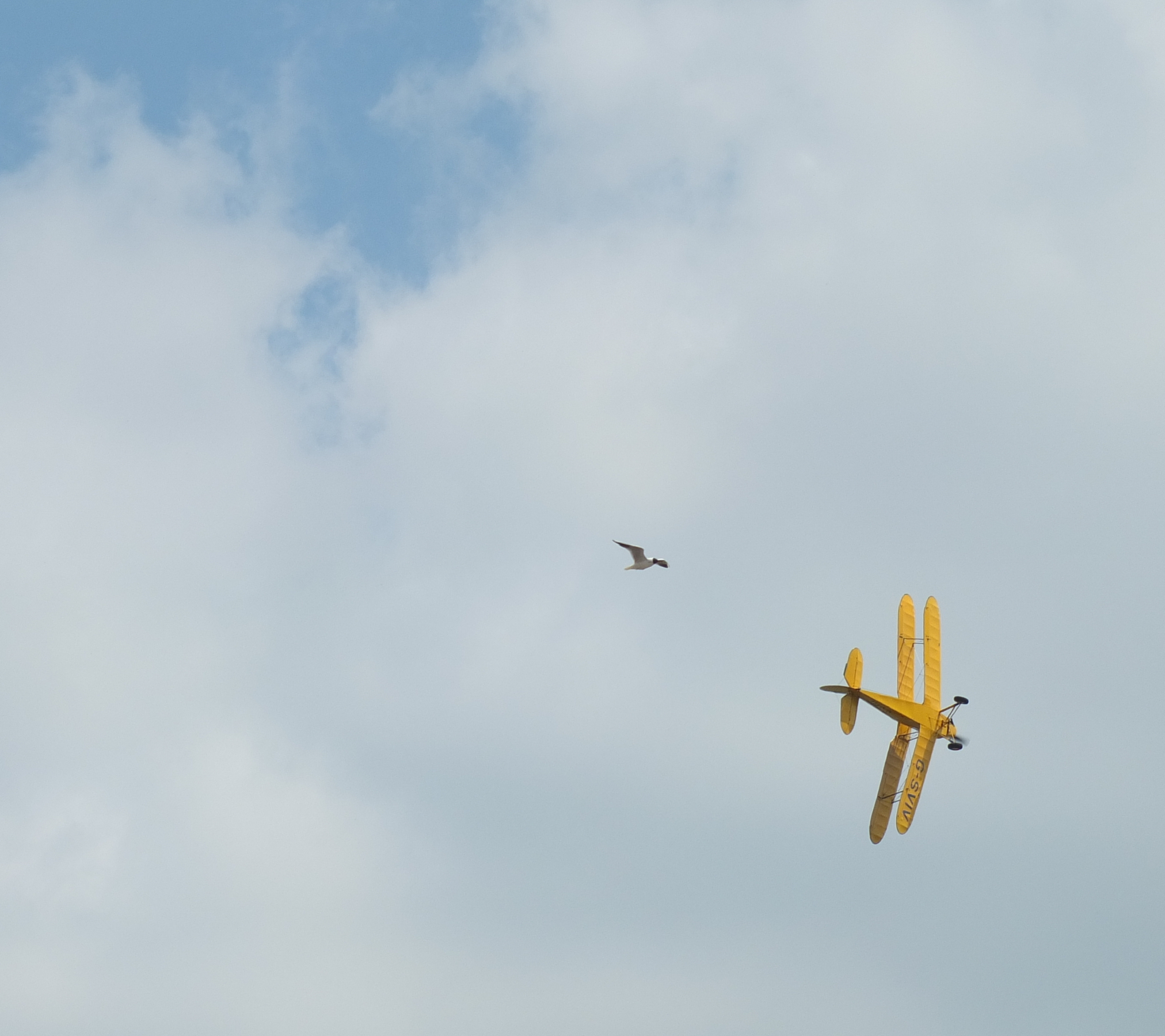 Stampe SV-4