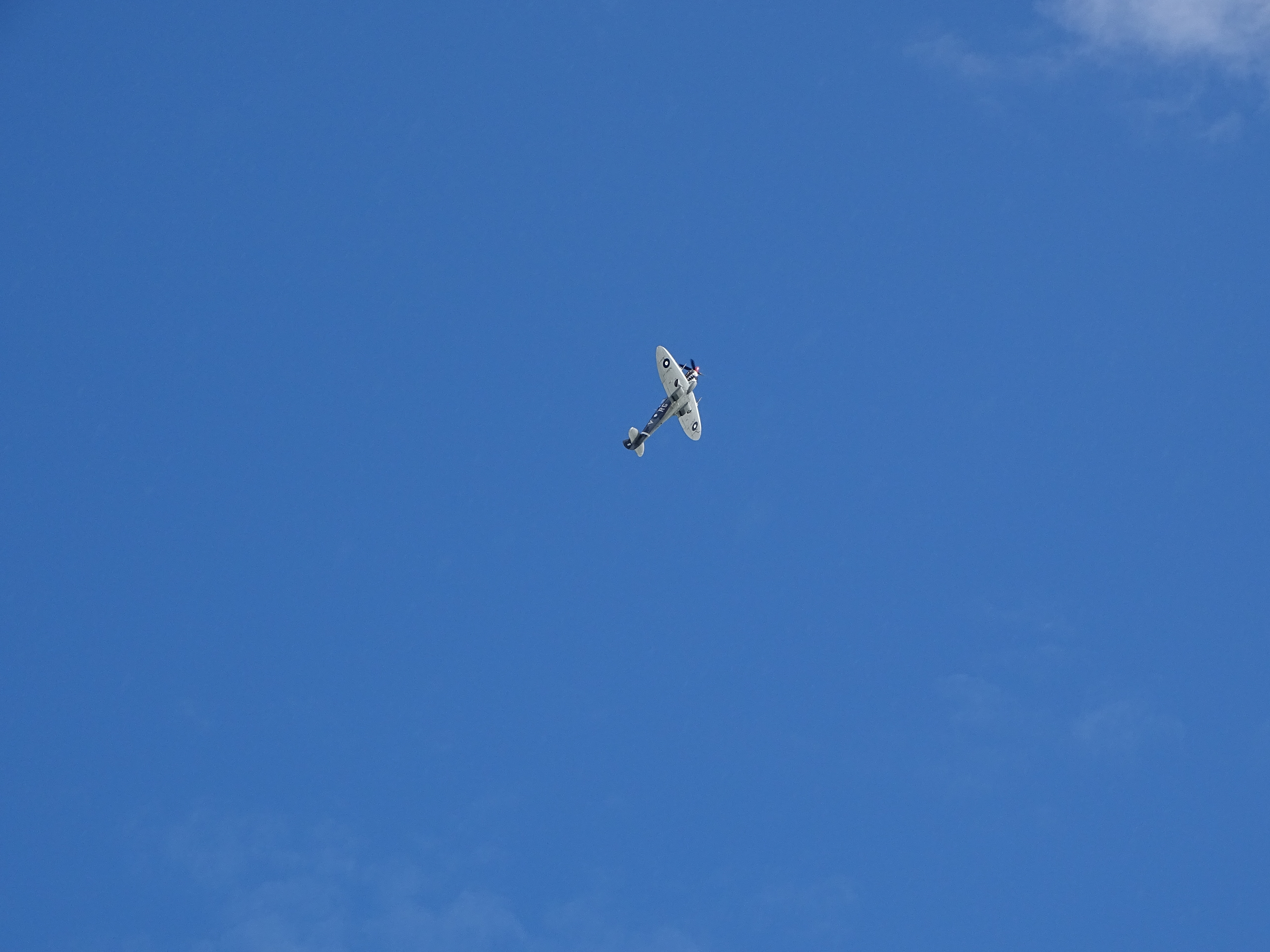 Supermarine Spitfire HF Mk VIII de la RAAF (tres cuartos)