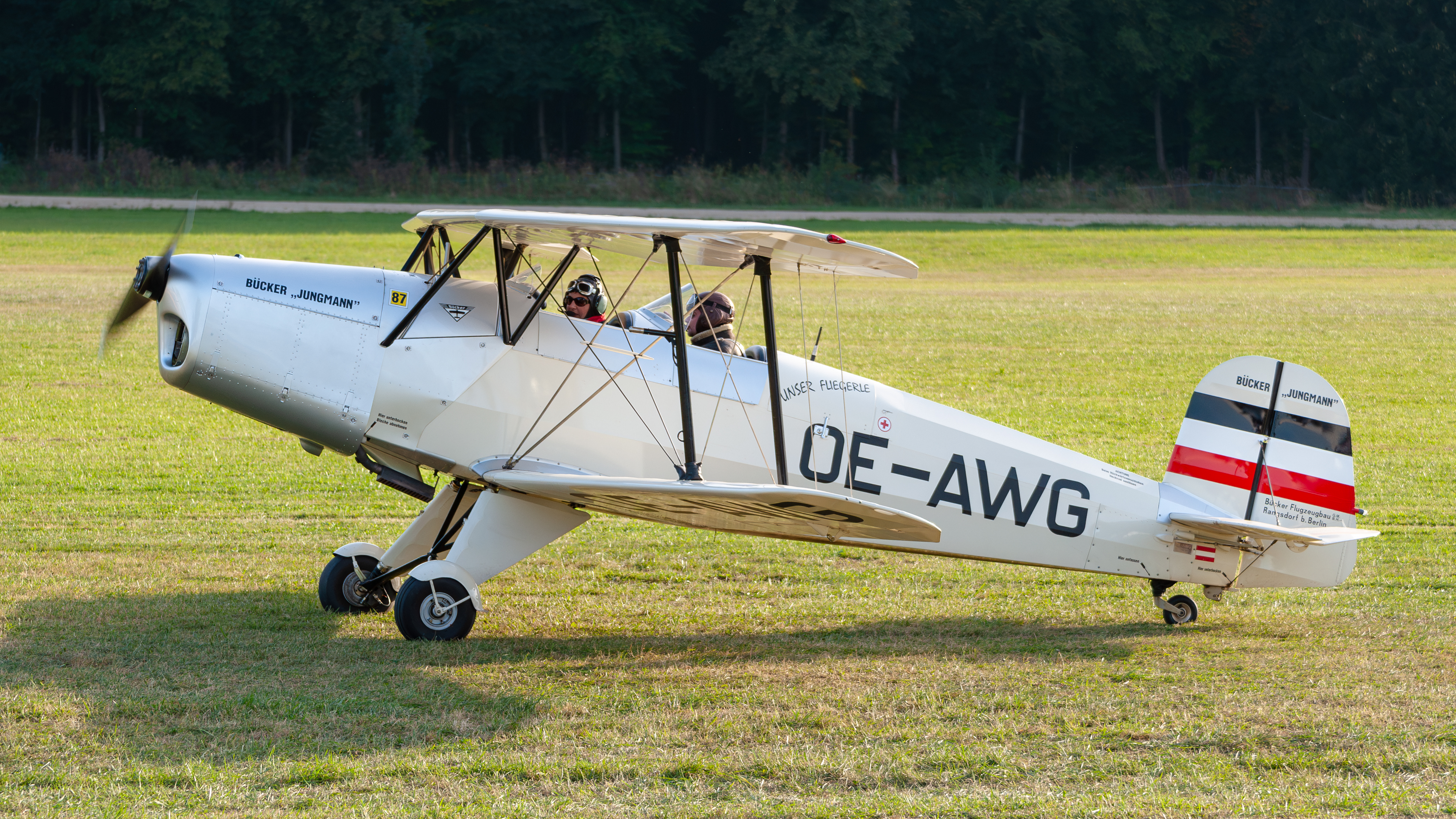 Bücker Bü 131 Jungmann